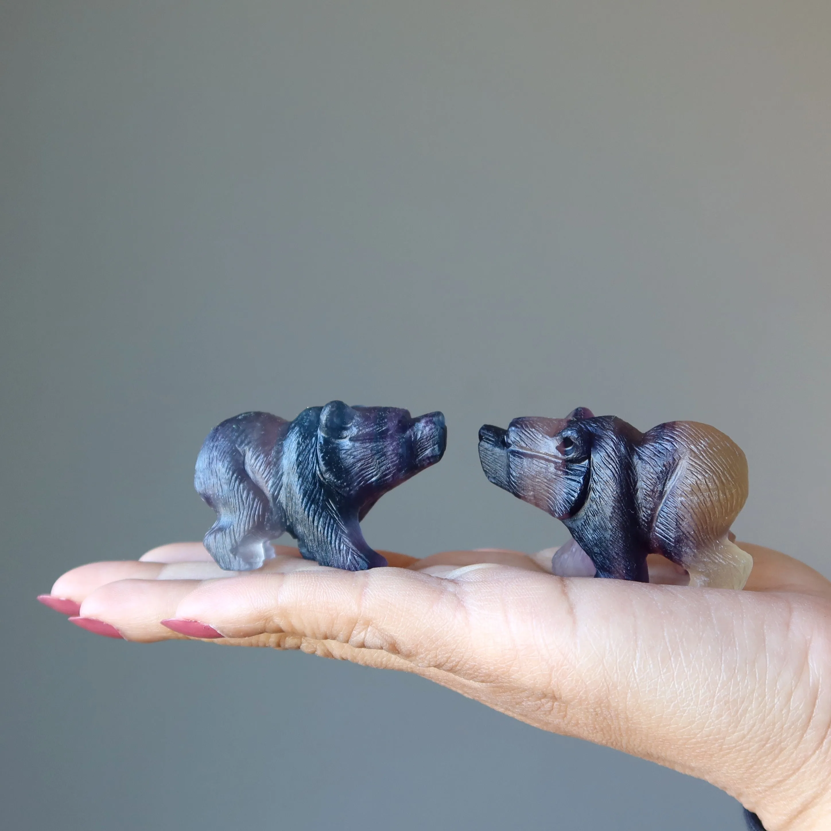 Fluorite Bear Rainbow Fine Carved Animal Statue