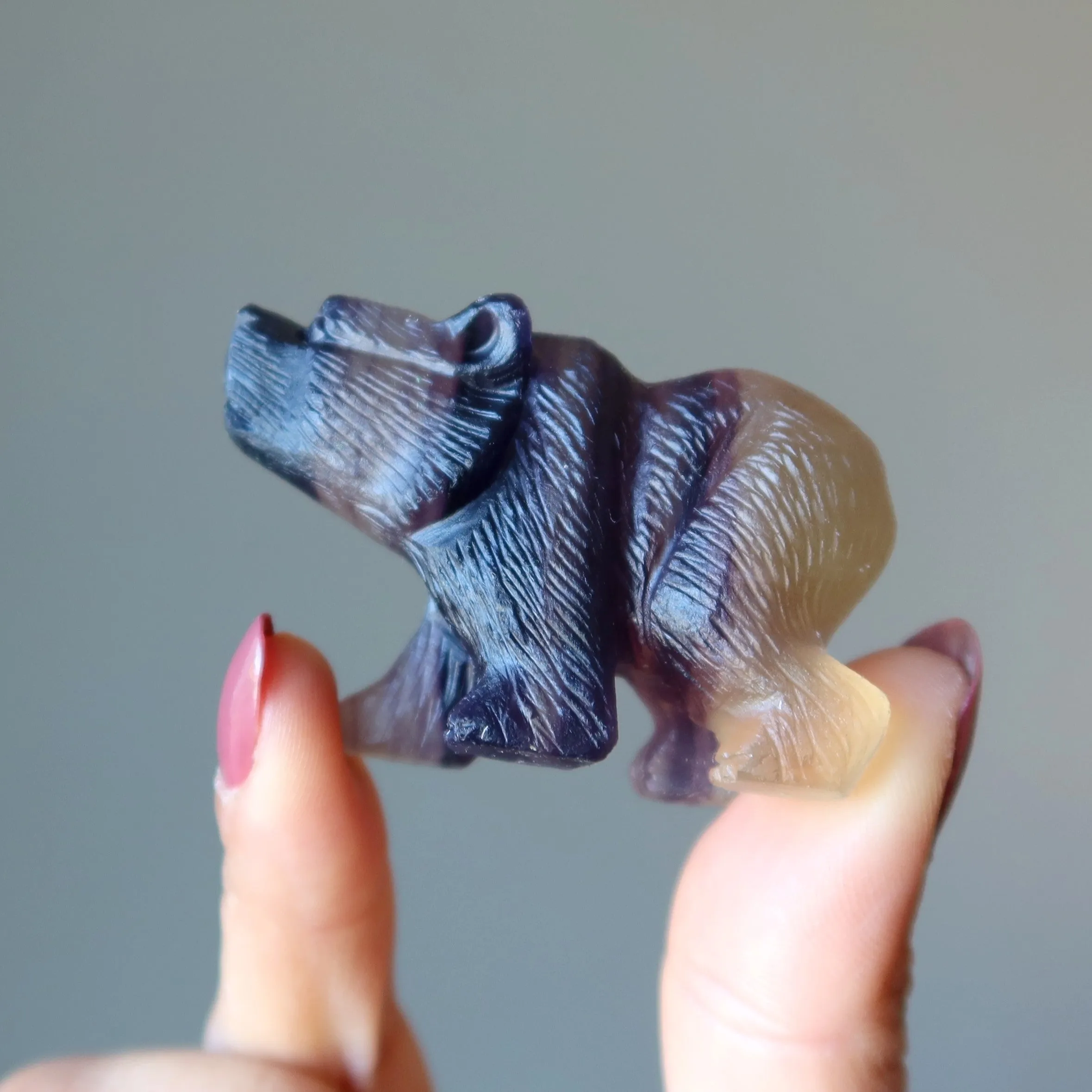 Fluorite Bear Rainbow Fine Carved Animal Statue