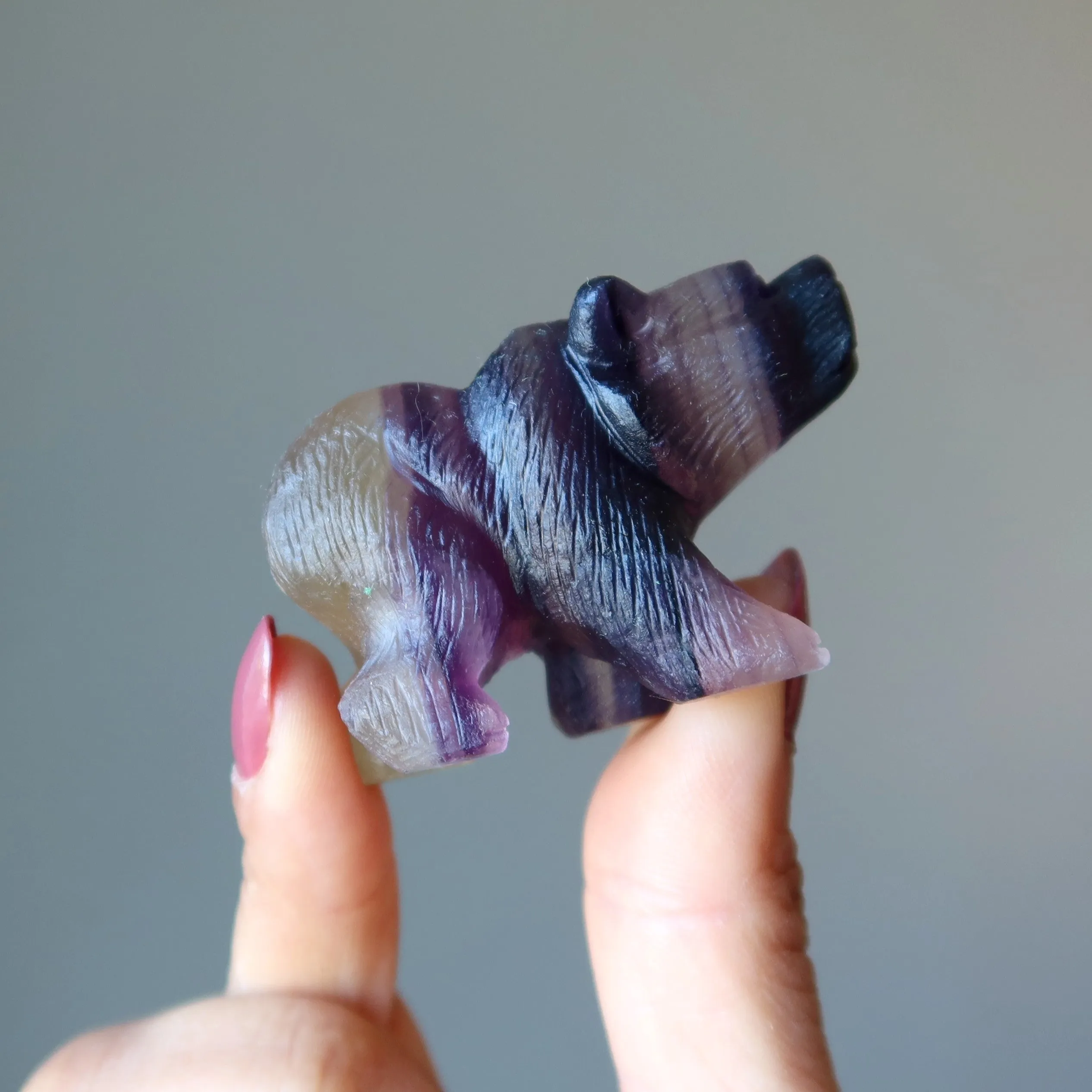 Fluorite Bear Rainbow Fine Carved Animal Statue