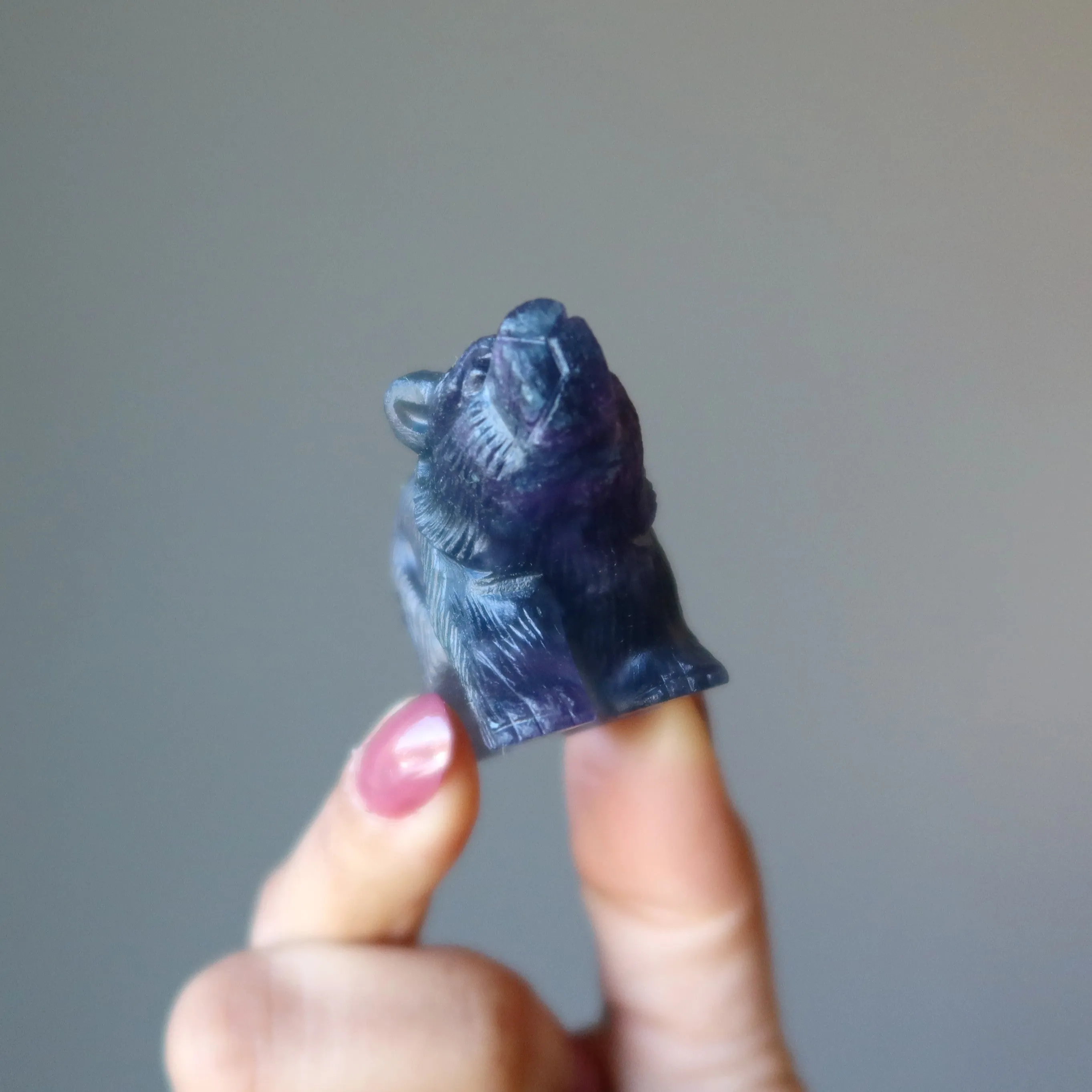 Fluorite Bear Rainbow Fine Carved Animal Statue