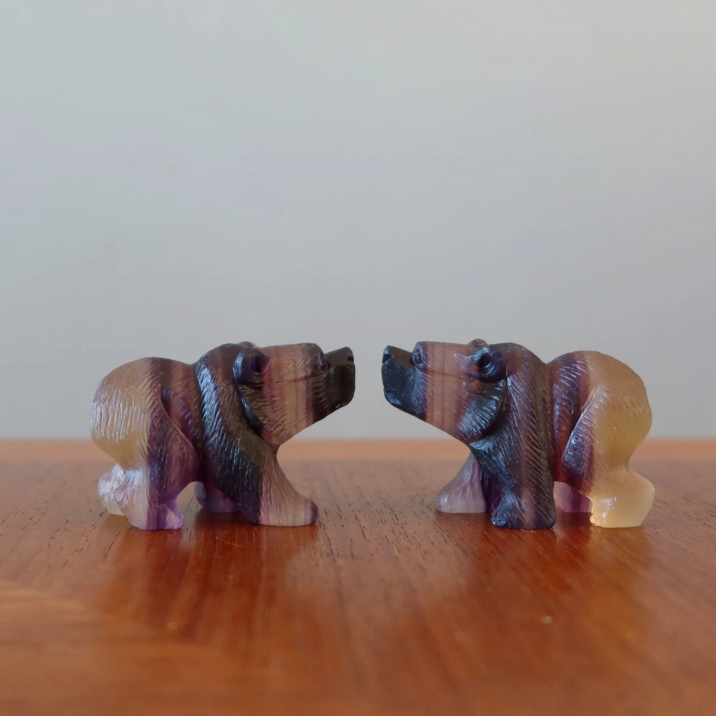 Fluorite Bear Rainbow Fine Carved Animal Statue