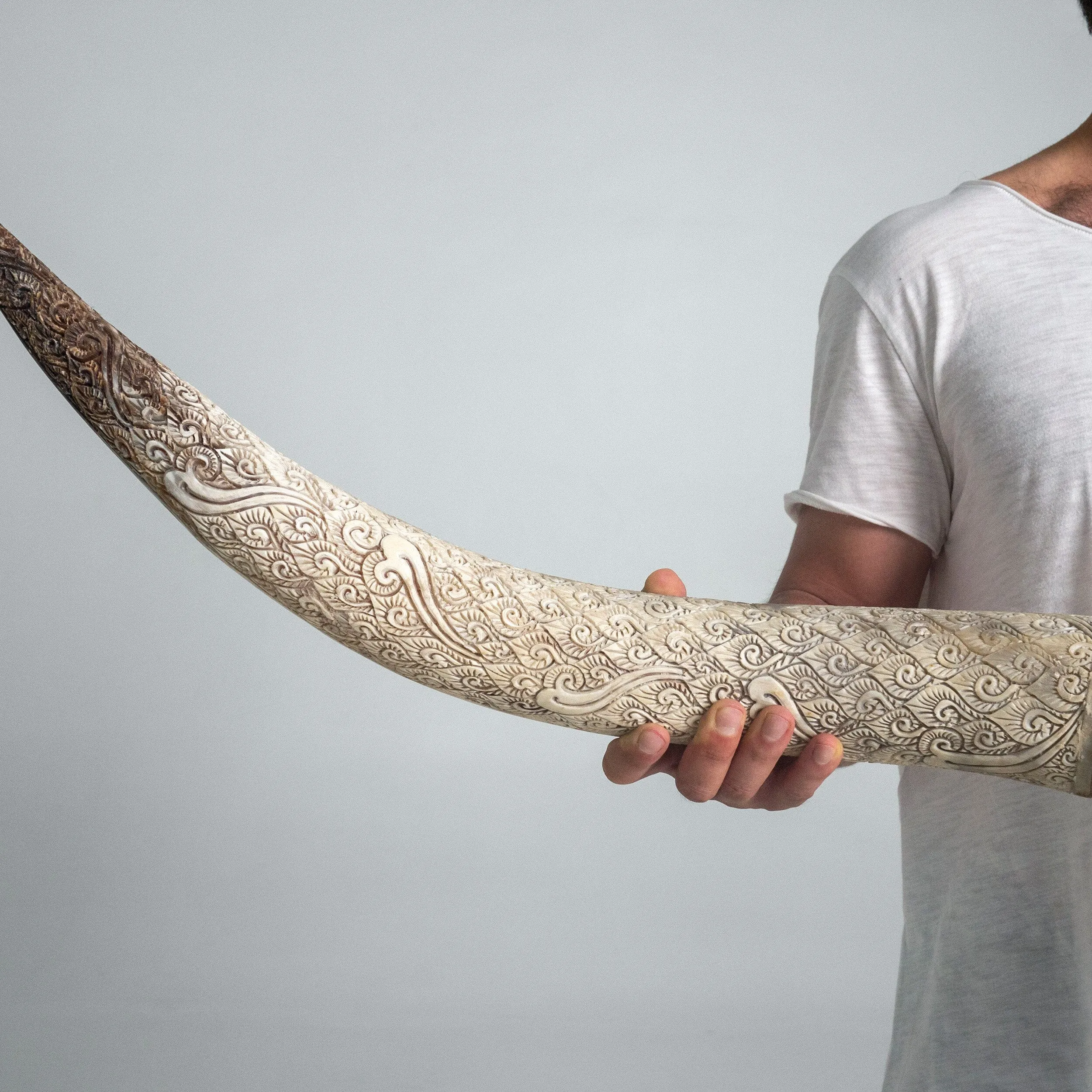 Hand Carved Longhorn Skull // XL Horns - Antique Ganesha