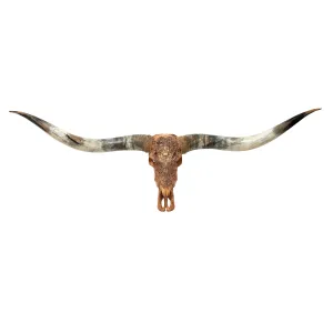 Hand Carved Longhorn Skull // XL Horns - Antique Ganesha