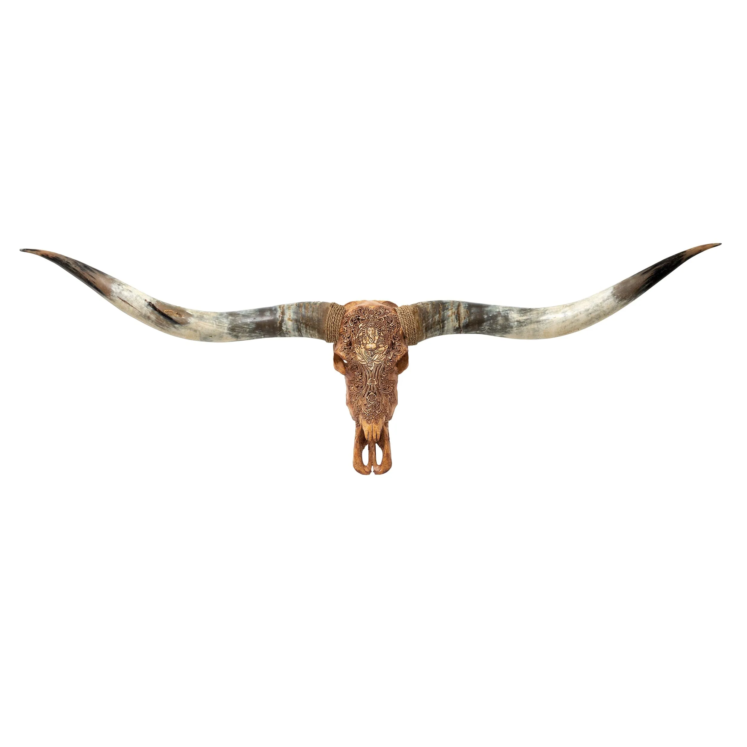 Hand Carved Longhorn Skull // XL Horns - Antique Ganesha