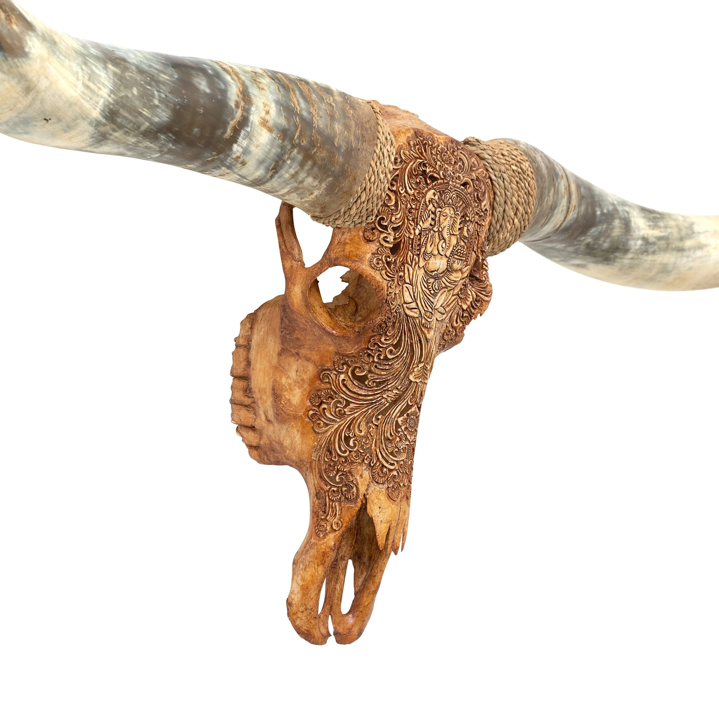Hand Carved Longhorn Skull // XL Horns - Antique Ganesha