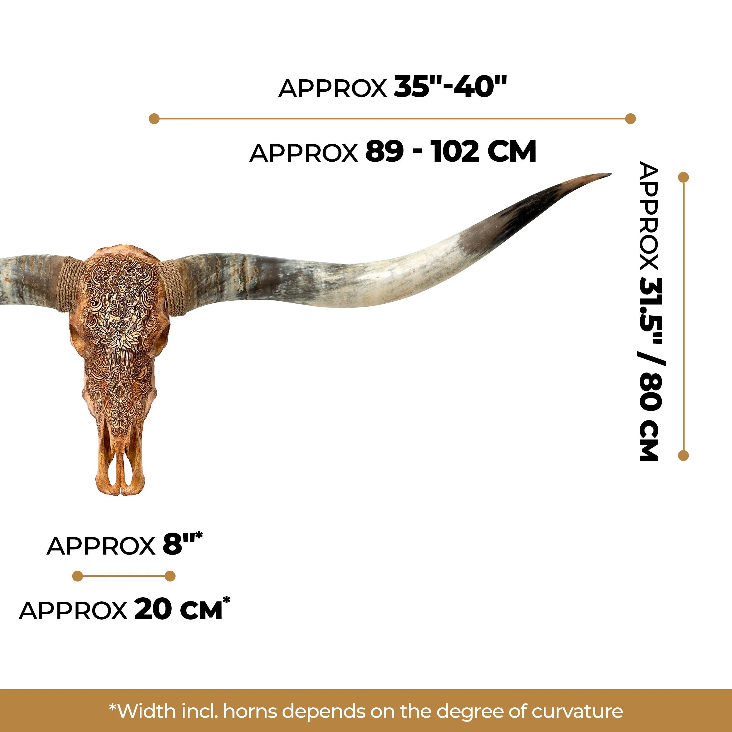 Hand Carved Longhorn Skull // XL Horns - Antique Ganesha