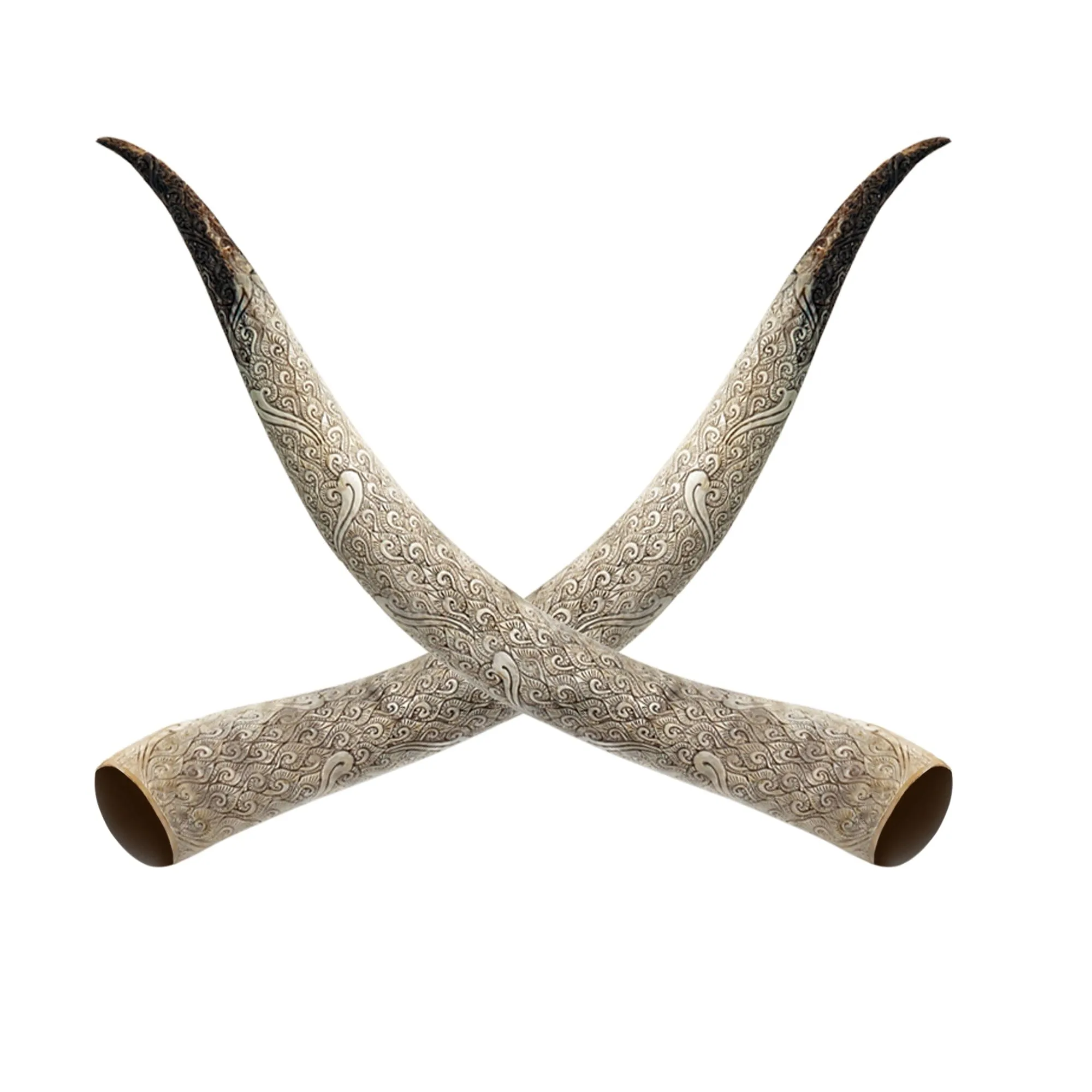Hand Carved Longhorn Skull // XL Horns - Antique Ganesha