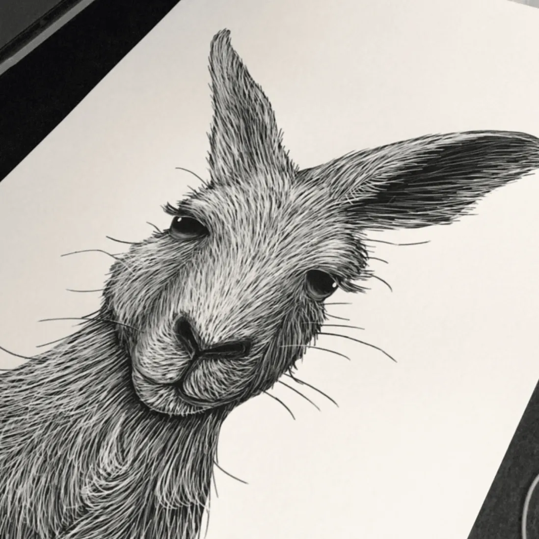 HELLO ROO Limited Edition Art Print