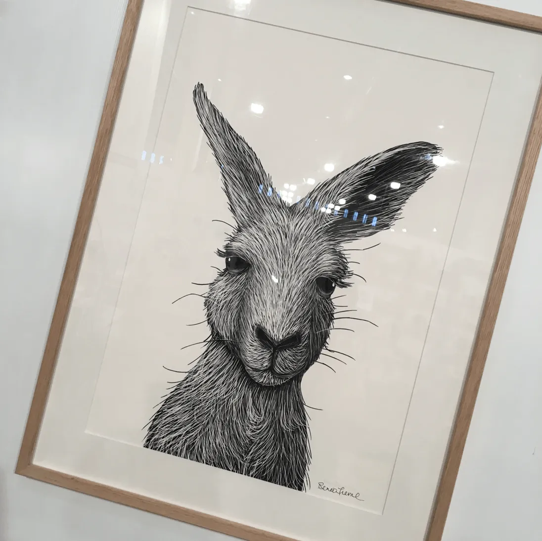 HELLO ROO Limited Edition Art Print