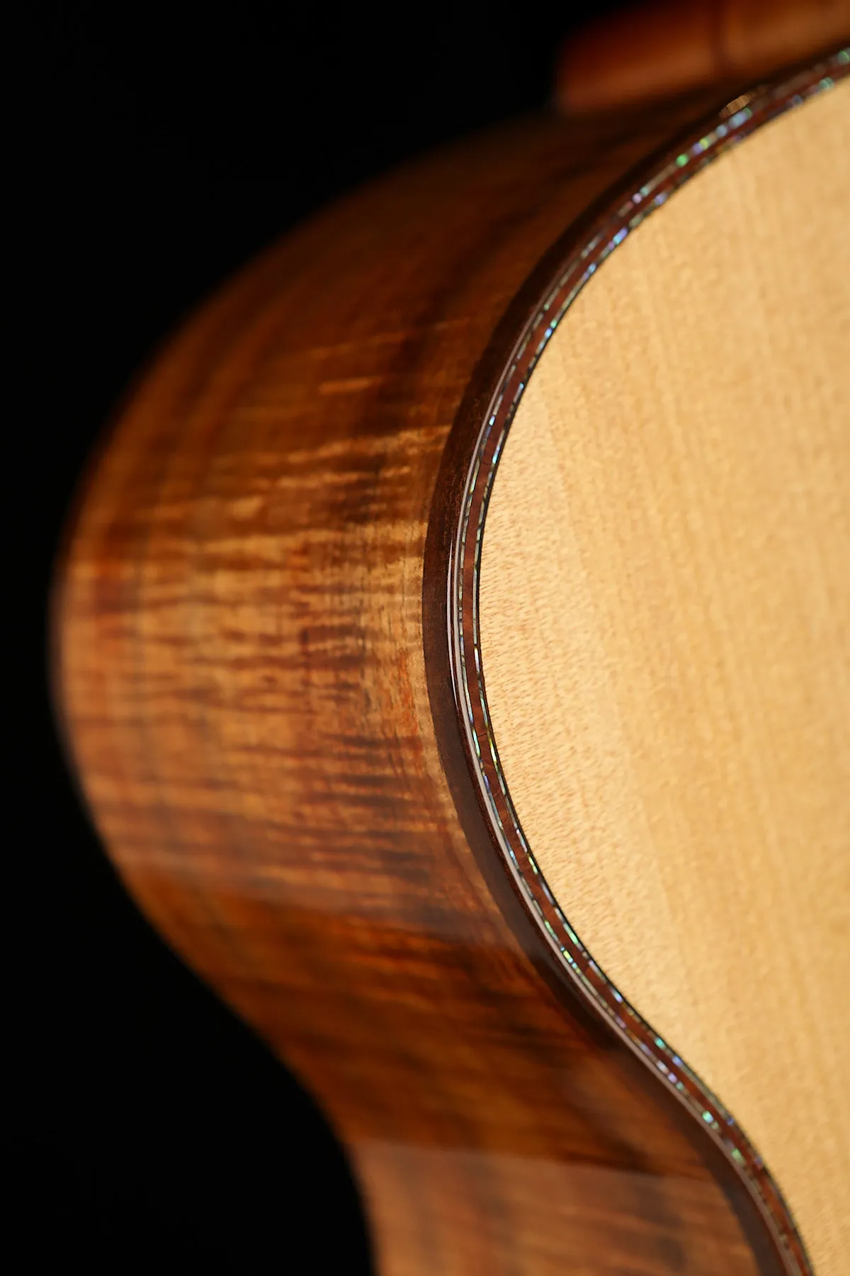 Laurie Williams Tui 'Kauri / Tasmanian Blackwood' Preowned 2013