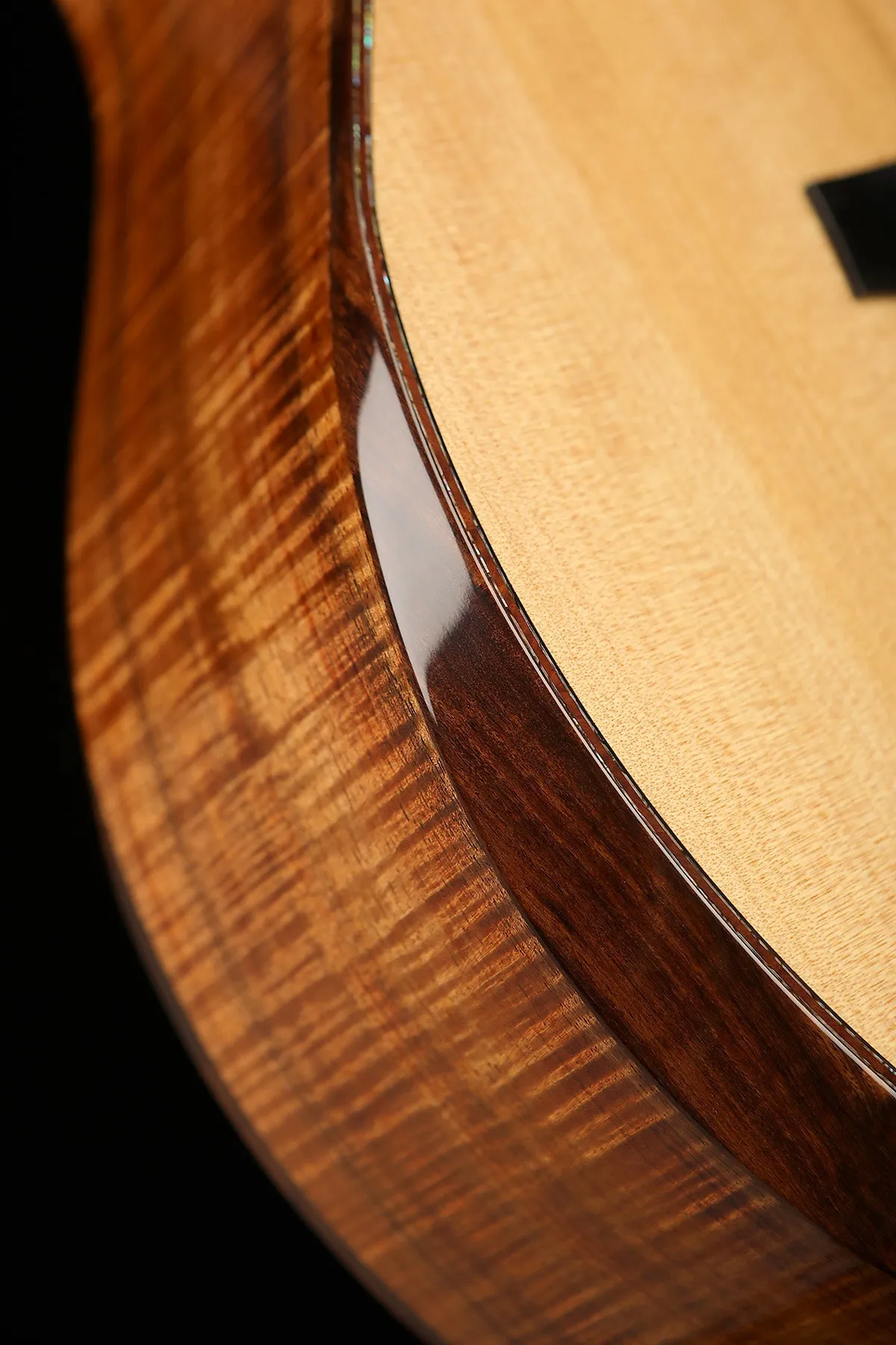 Laurie Williams Tui 'Kauri / Tasmanian Blackwood' Preowned 2013