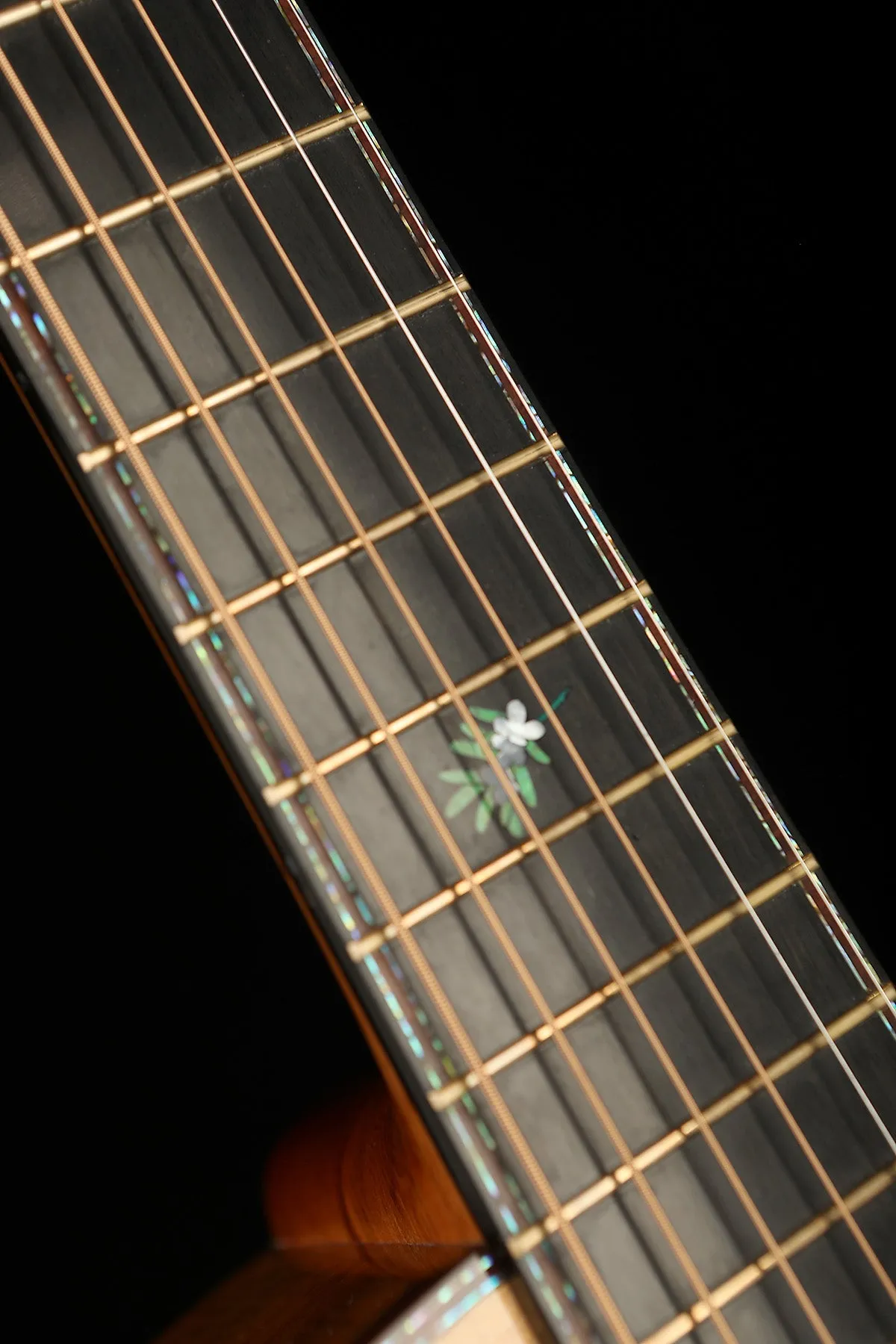Laurie Williams Tui 'Kauri / Tasmanian Blackwood' Preowned 2013