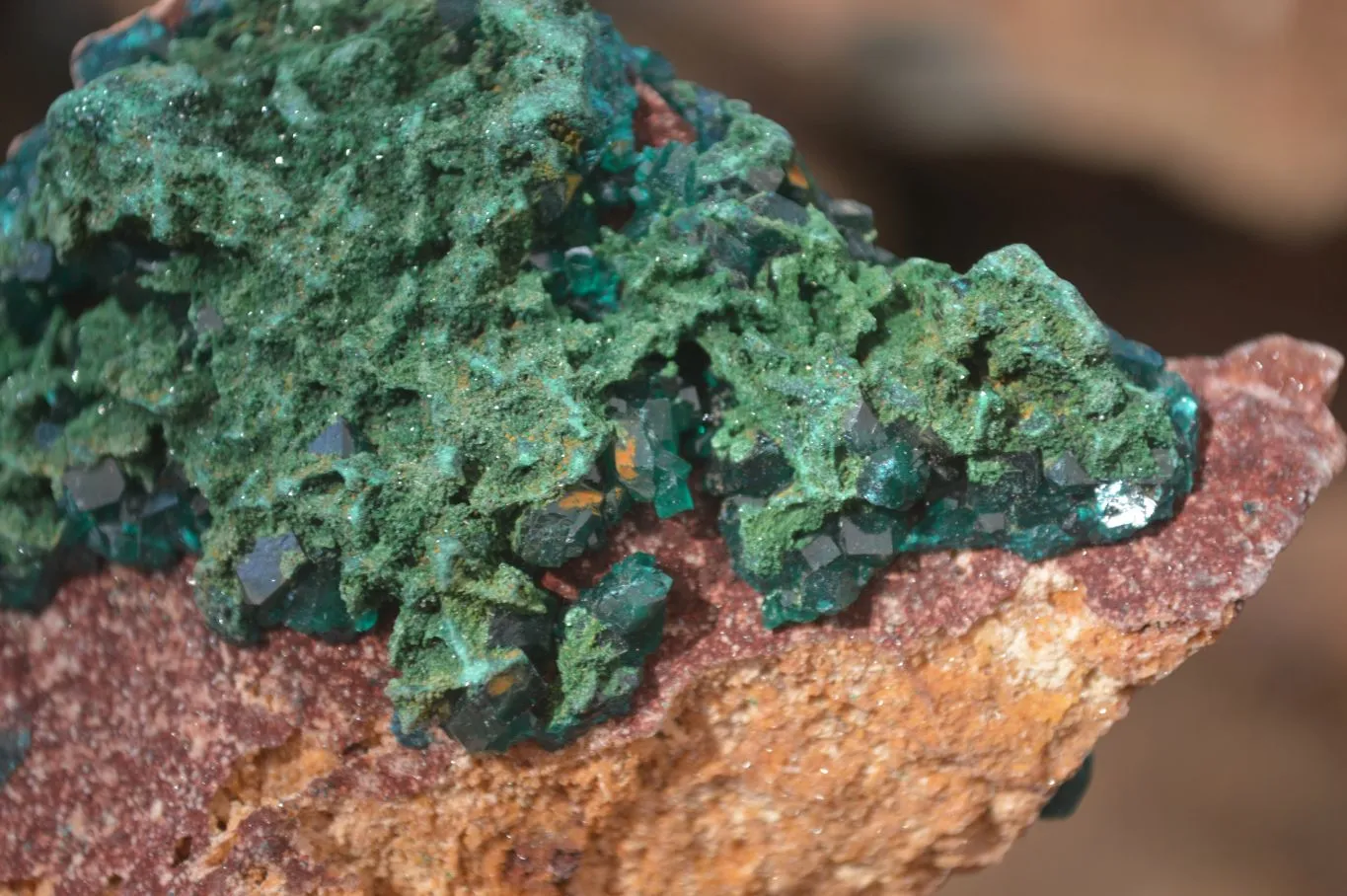 Natural Classic Emerald Dioptase Crystal Specimens  x 2 From Likasi, Congo