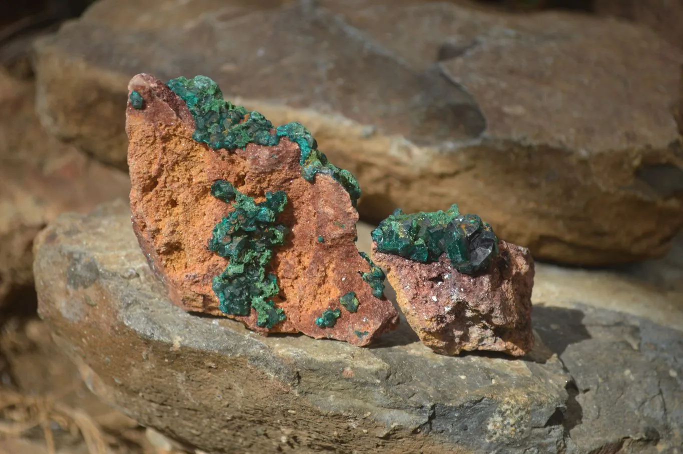 Natural Classic Emerald Dioptase Crystal Specimens  x 2 From Likasi, Congo