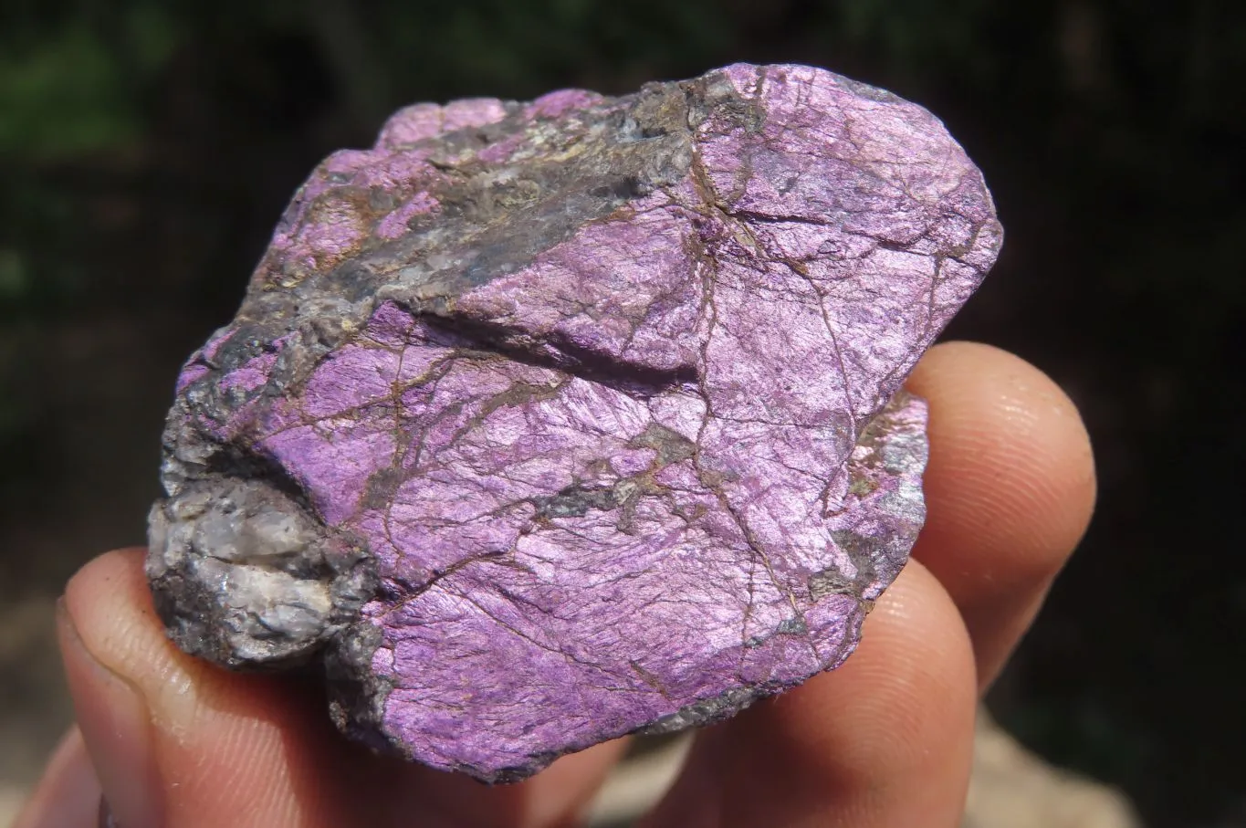 Natural Metallic Purpurite Specimens x 35 From Erongo, Namibia
