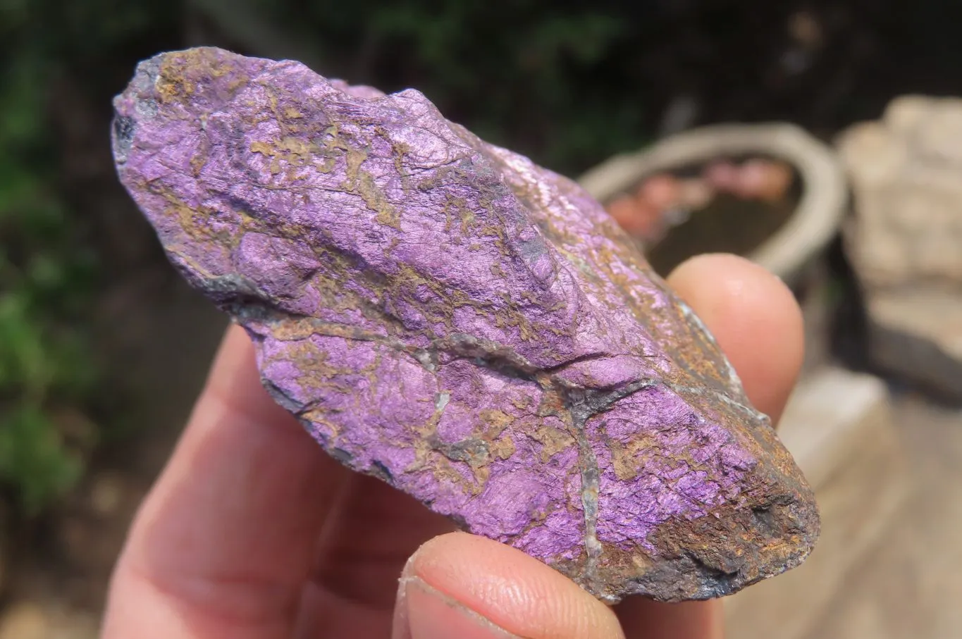 Natural Metallic Purpurite Specimens x 35 From Erongo, Namibia