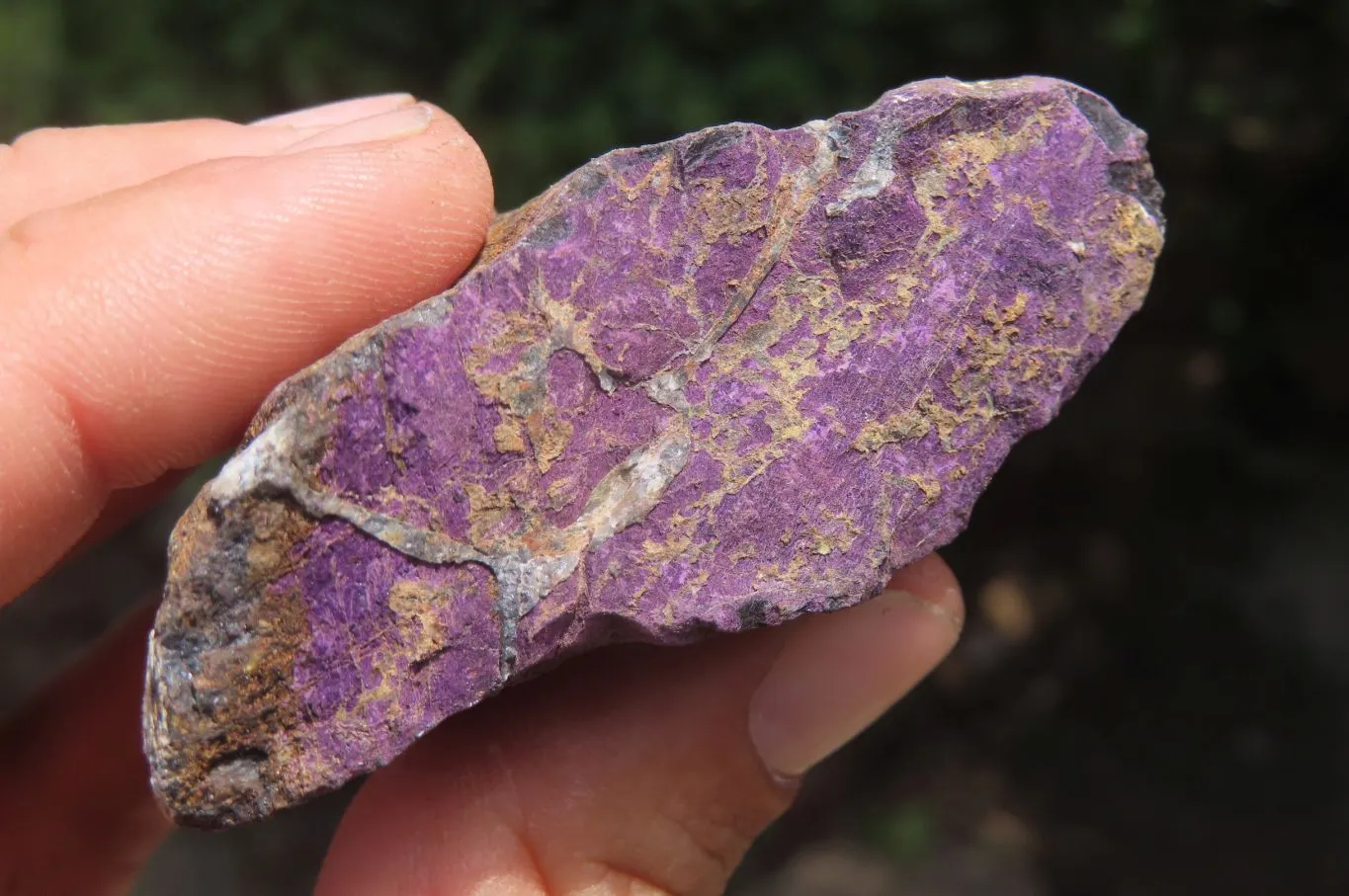 Natural Metallic Purpurite Specimens x 35 From Erongo, Namibia