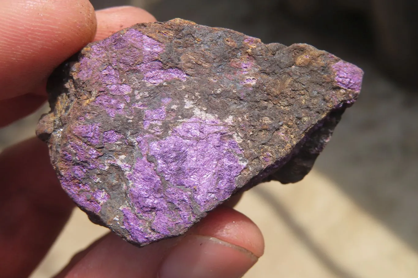 Natural Metallic Purpurite Specimens x 35 From Erongo, Namibia