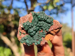 Natural Rare Ball Malachite On Drusi Quartz & Dolomite Matrix  x 6 From Kambove, Congo