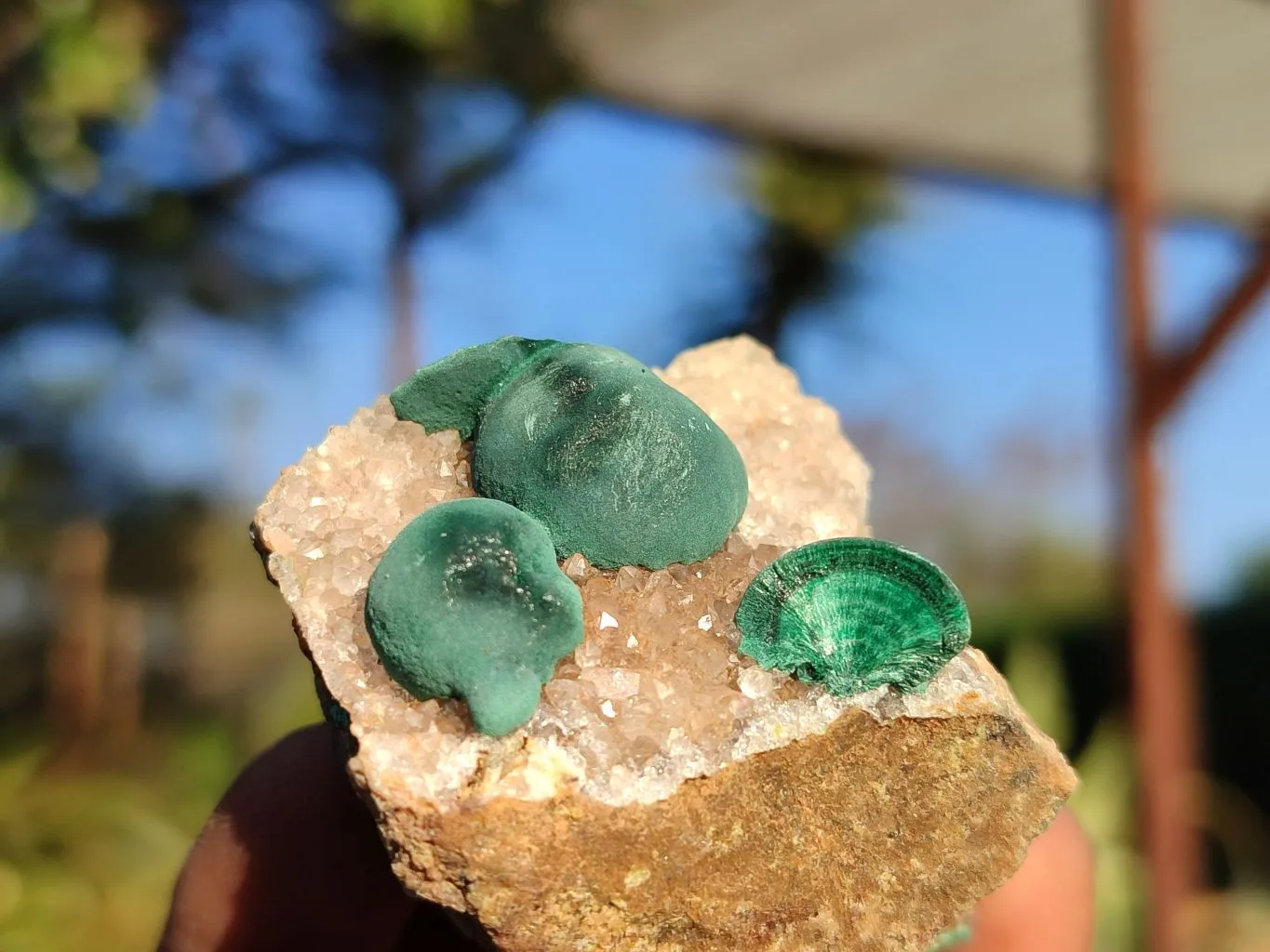 Natural Rare Ball Malachite On Drusi Quartz & Dolomite Matrix  x 6 From Kambove, Congo