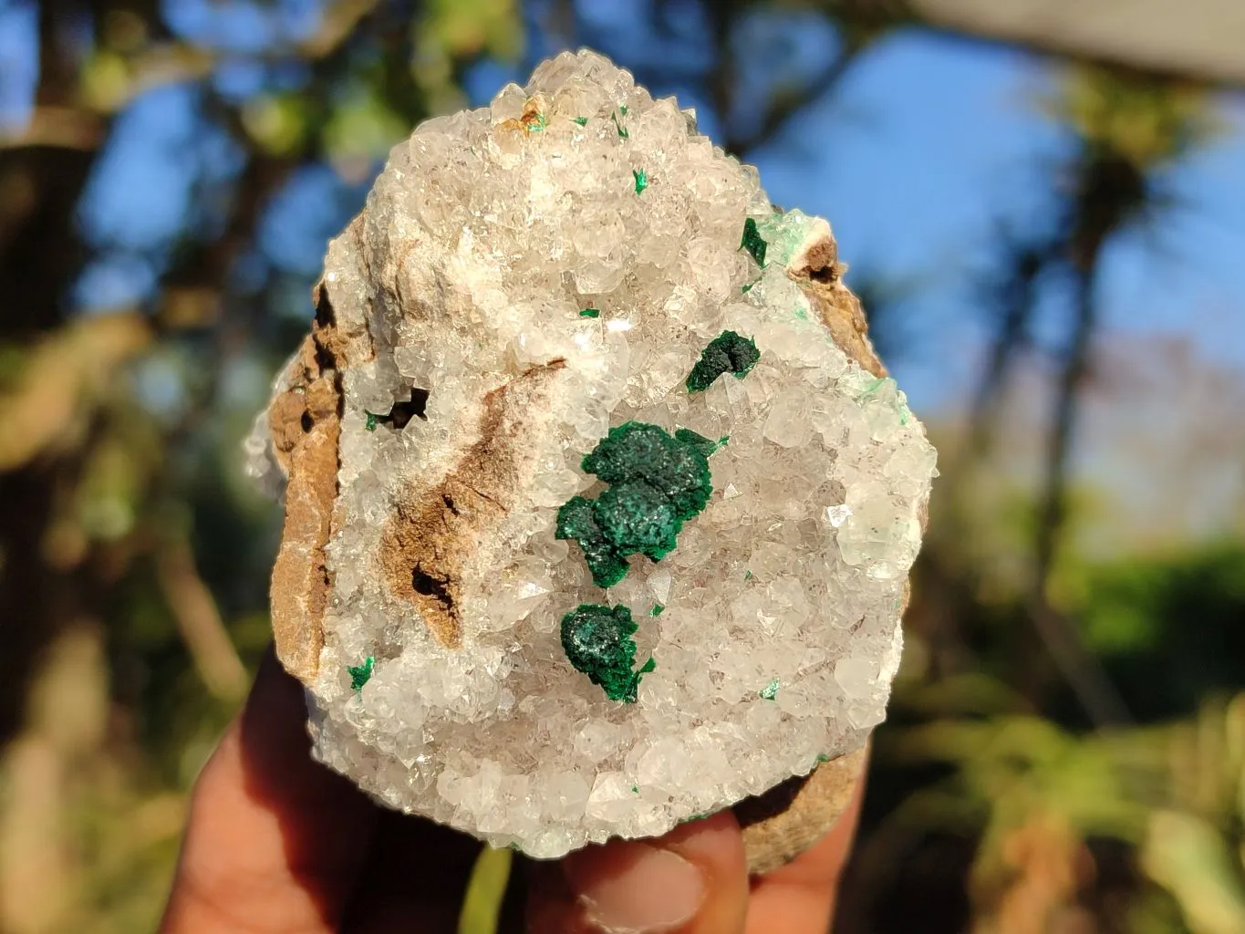 Natural Rare Ball Malachite On Drusi Quartz & Dolomite Matrix  x 6 From Kambove, Congo