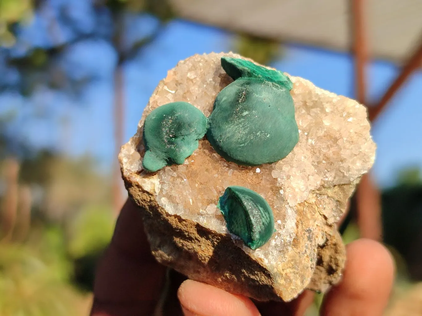 Natural Rare Ball Malachite On Drusi Quartz & Dolomite Matrix  x 6 From Kambove, Congo