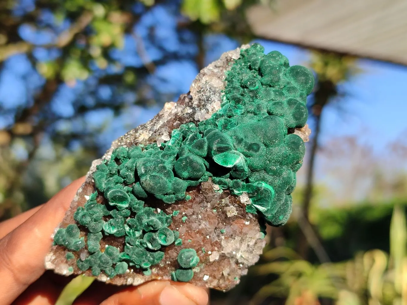 Natural Rare Ball Malachite On Drusi Quartz & Dolomite Matrix  x 6 From Kambove, Congo