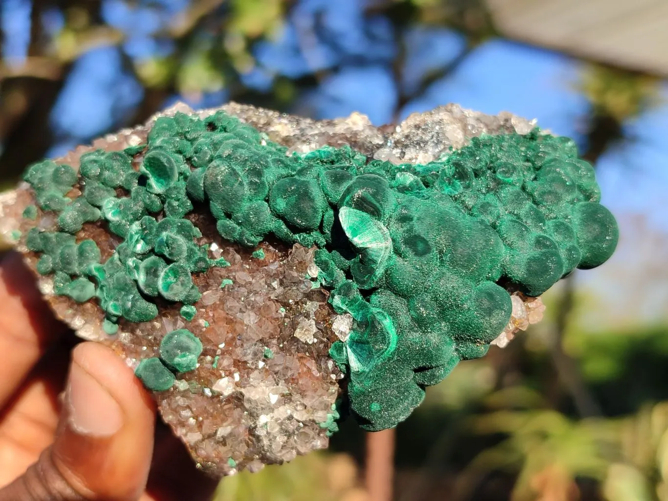Natural Rare Ball Malachite On Drusi Quartz & Dolomite Matrix  x 6 From Kambove, Congo