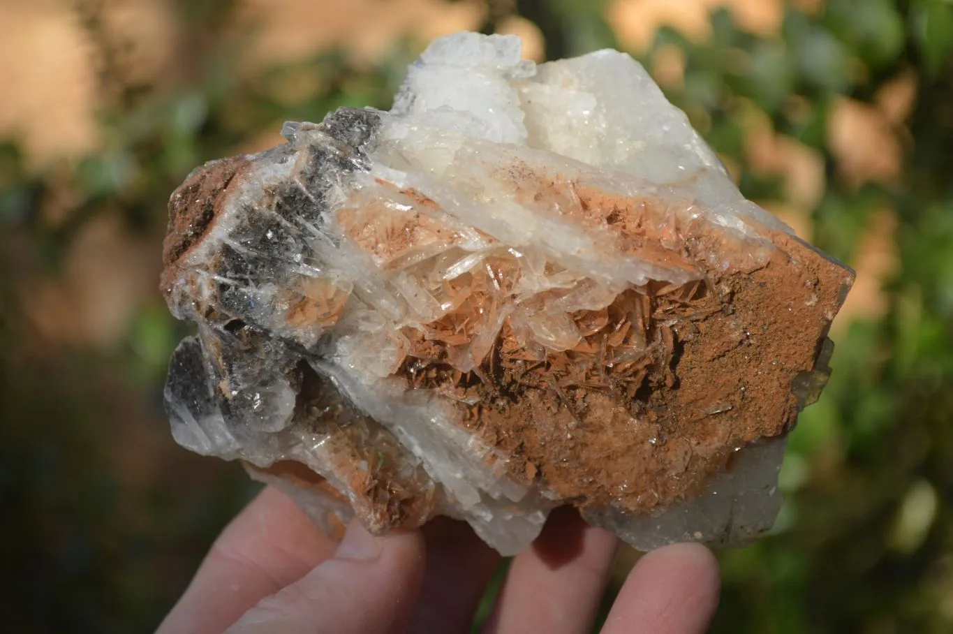 Natural Rare Bladed Barite Specimens x 3 From Congo