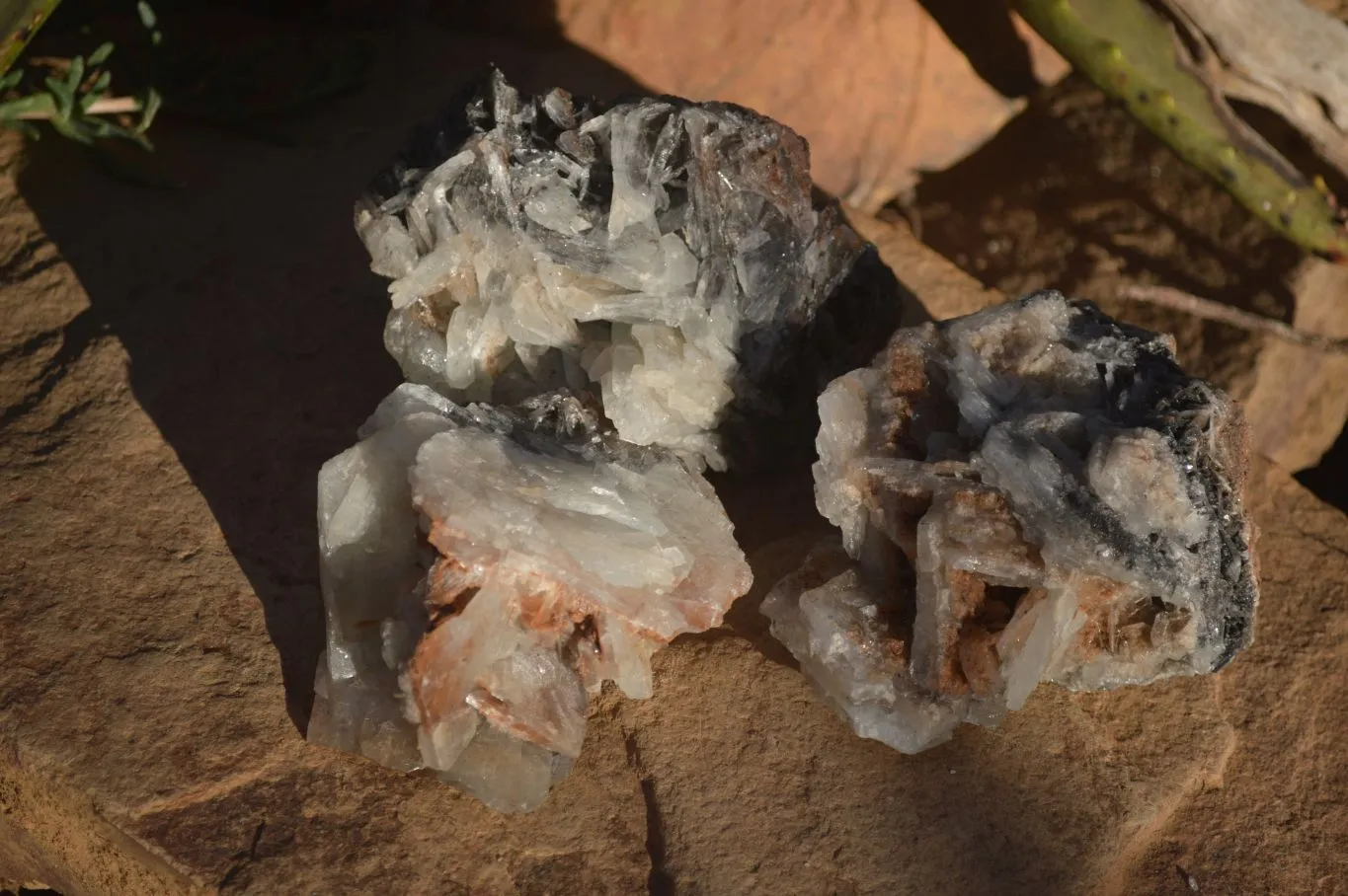 Natural Rare Bladed Barite Specimens x 3 From Congo