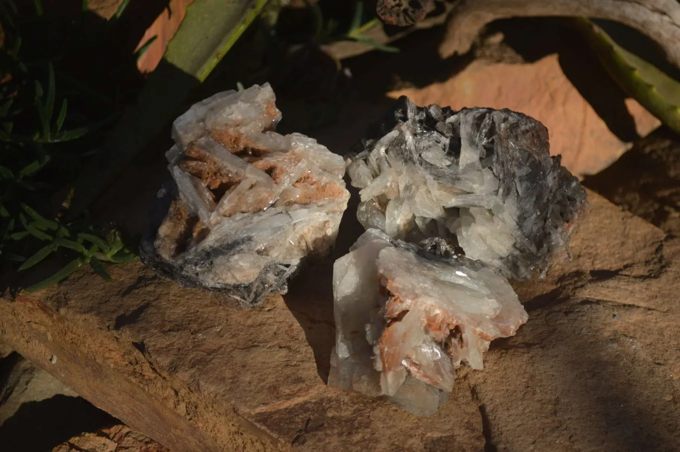 Natural Rare Bladed Barite Specimens x 3 From Congo