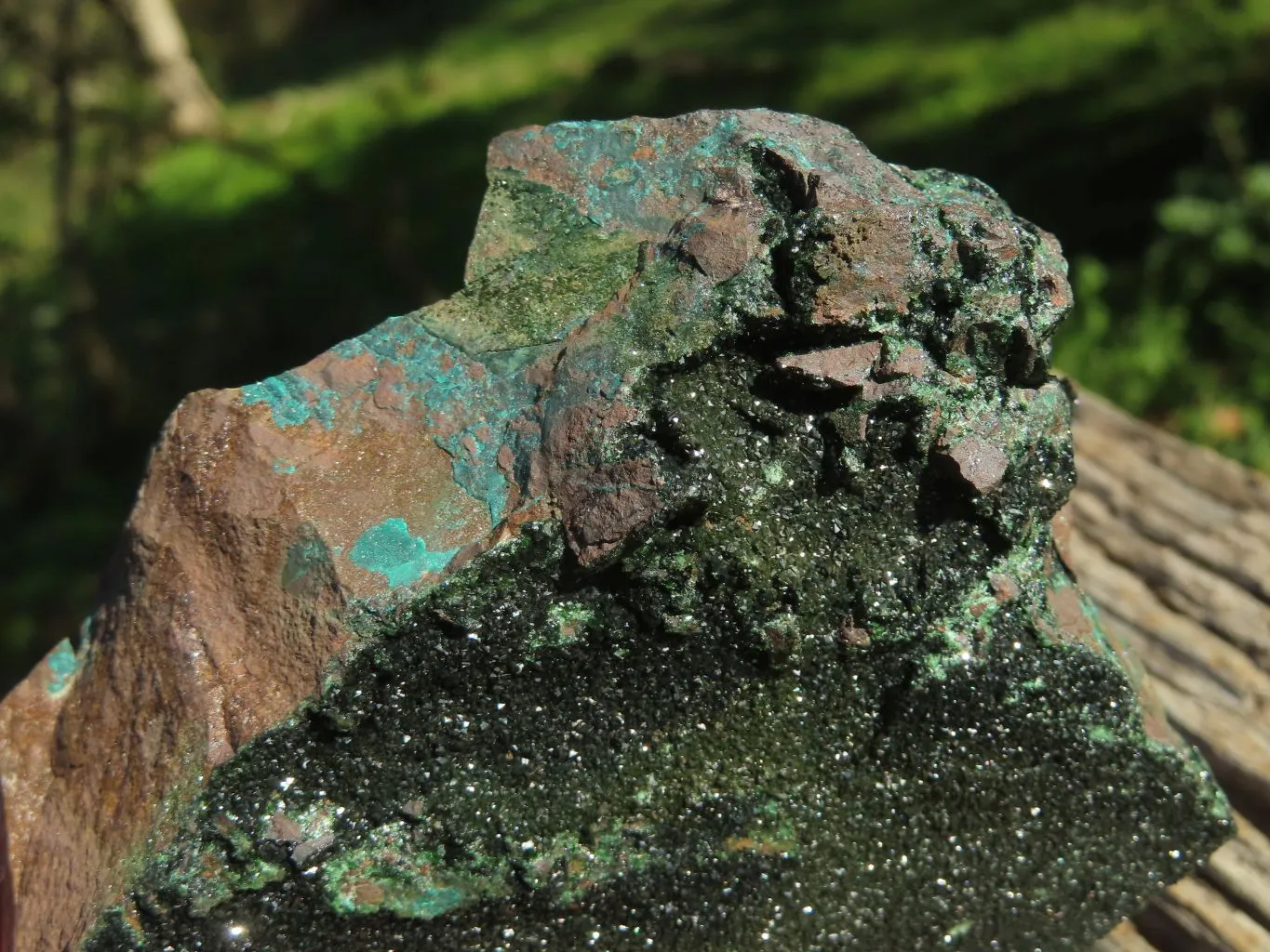 Natural Rare Copper Phosphate Libethenite On Dolomite Specimen x 1 From Shituru, Congo