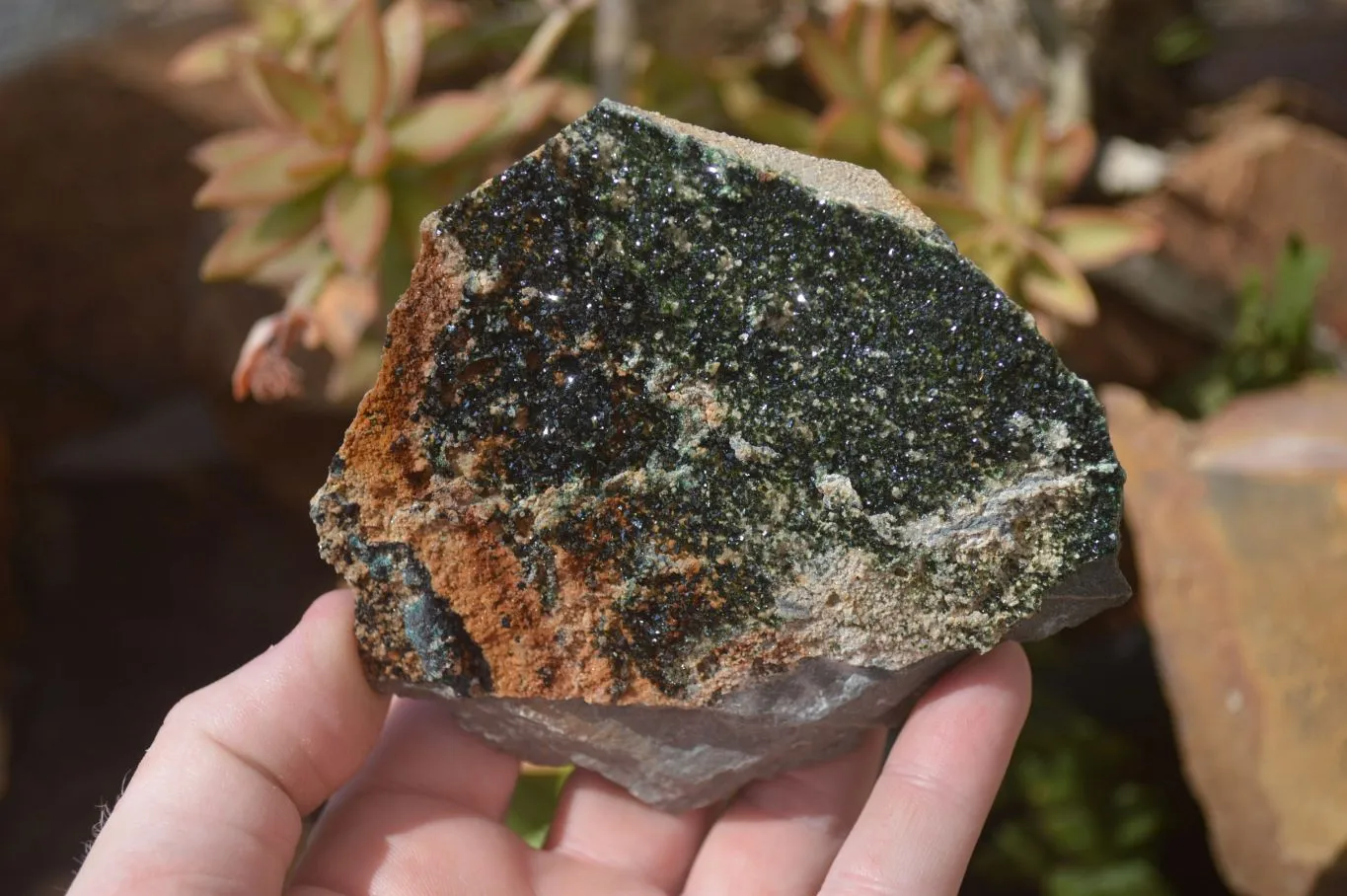 Natural Rare Libethenite On Dolomite Specimens x 3 From Kambove, Congo