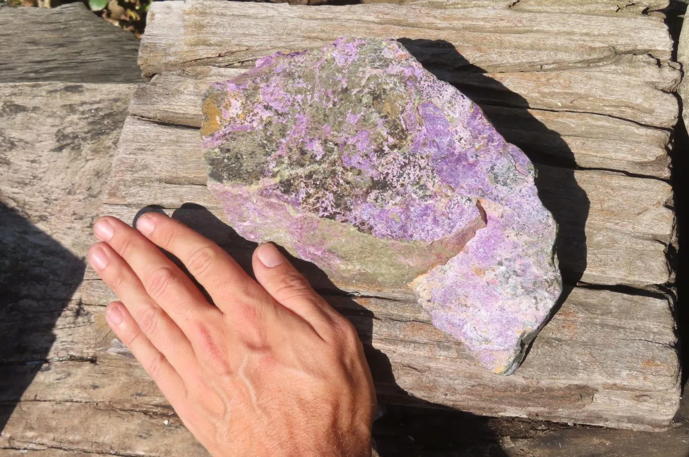 Natural Stichtite Specimen x 1 From Barberton, South Africa