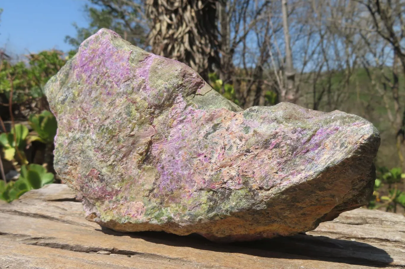 Natural Stichtite Specimen x 1 From Barberton, South Africa