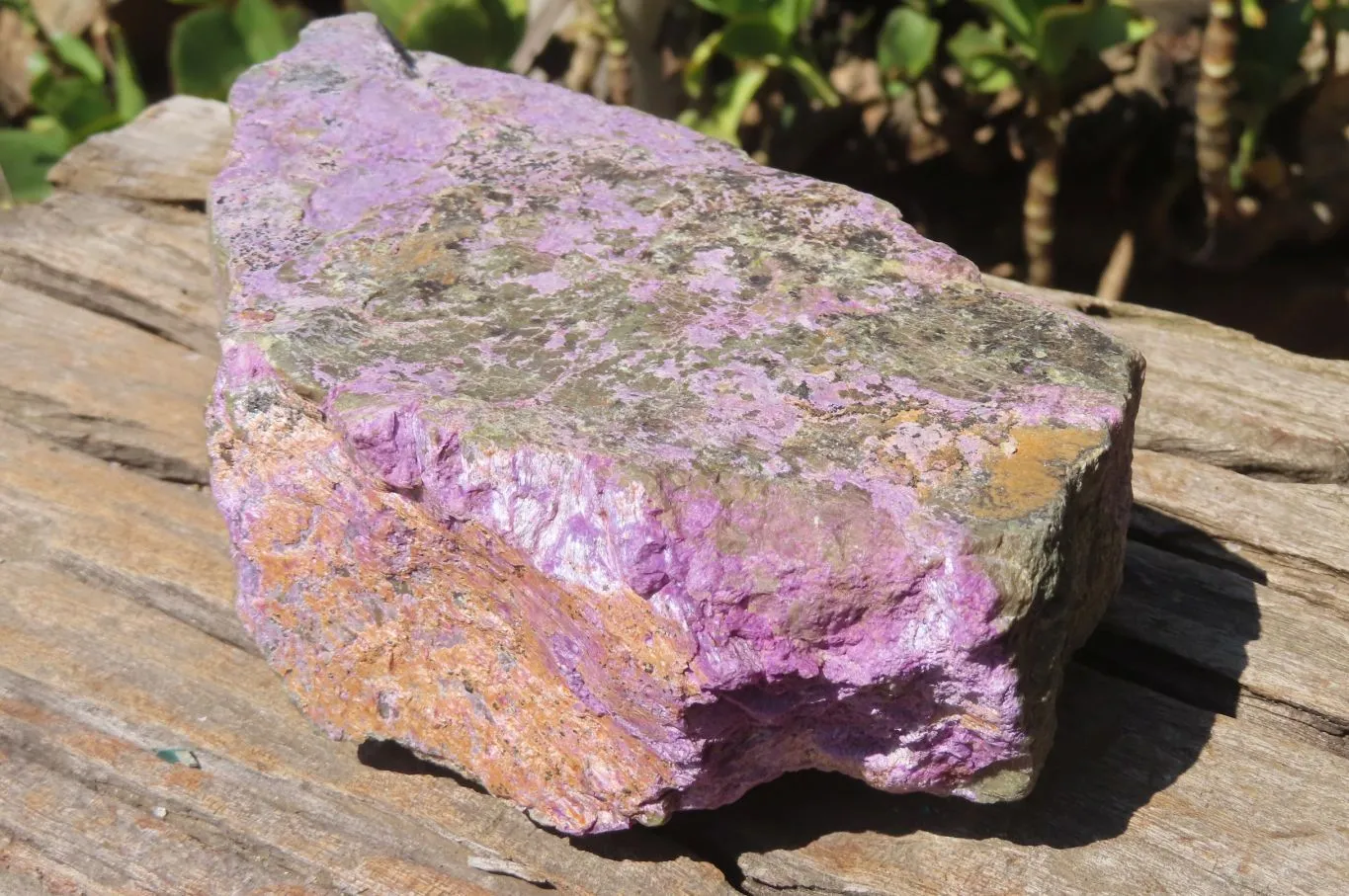Natural Stichtite Specimen x 1 From Barberton, South Africa