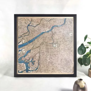 Osaka Wooden Map