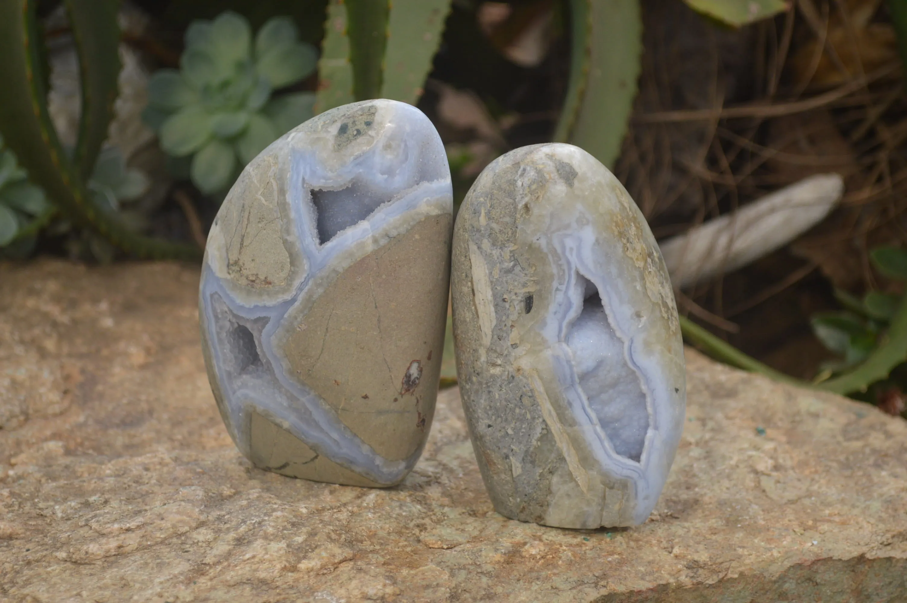 Polished Blue Lace Agate Standing Free Forms x 2 From Malawi