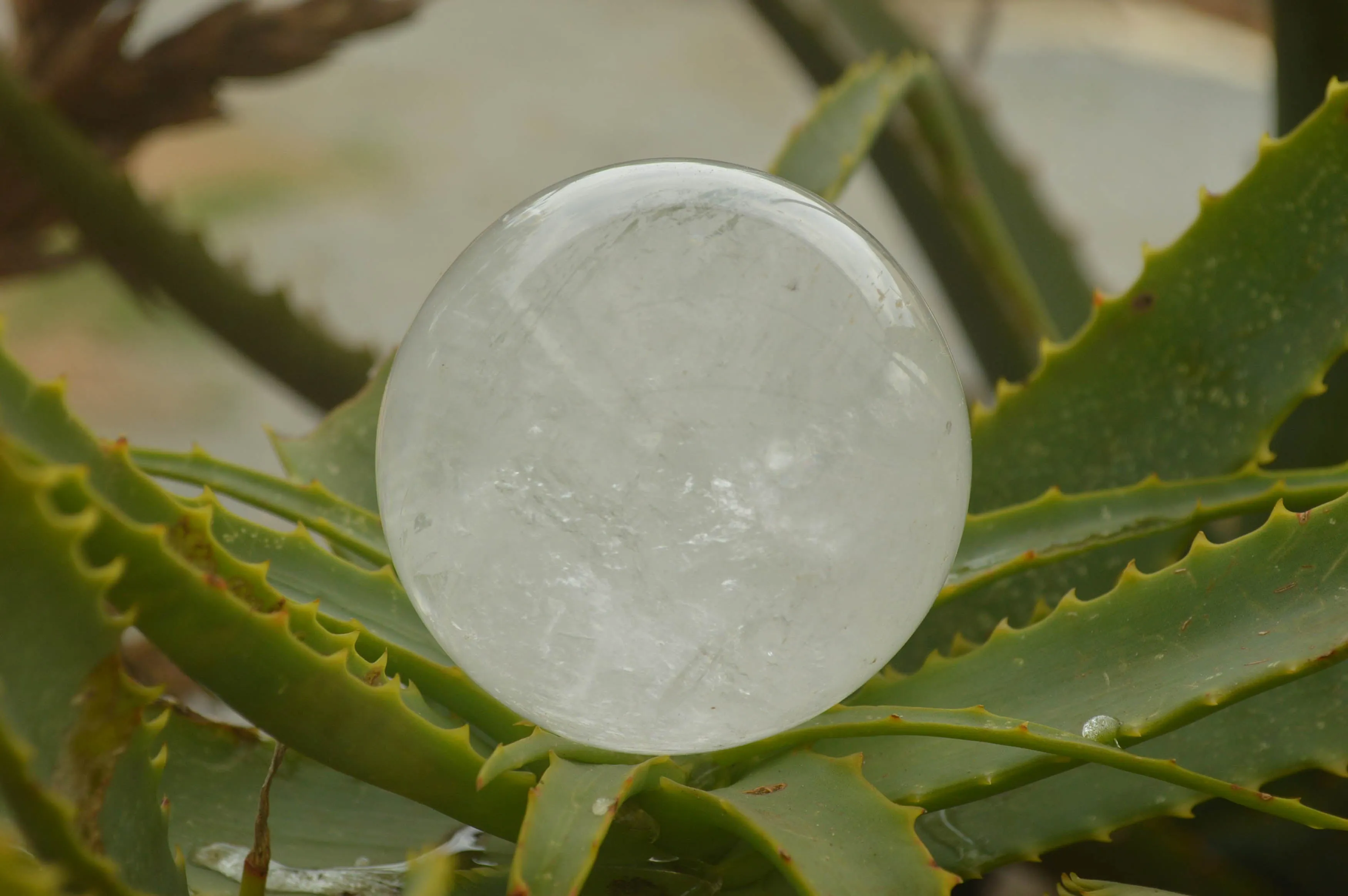 Polished Clear Quartz Crystal Balls / Spheres With Wooden Stands x 2 From Madagascar