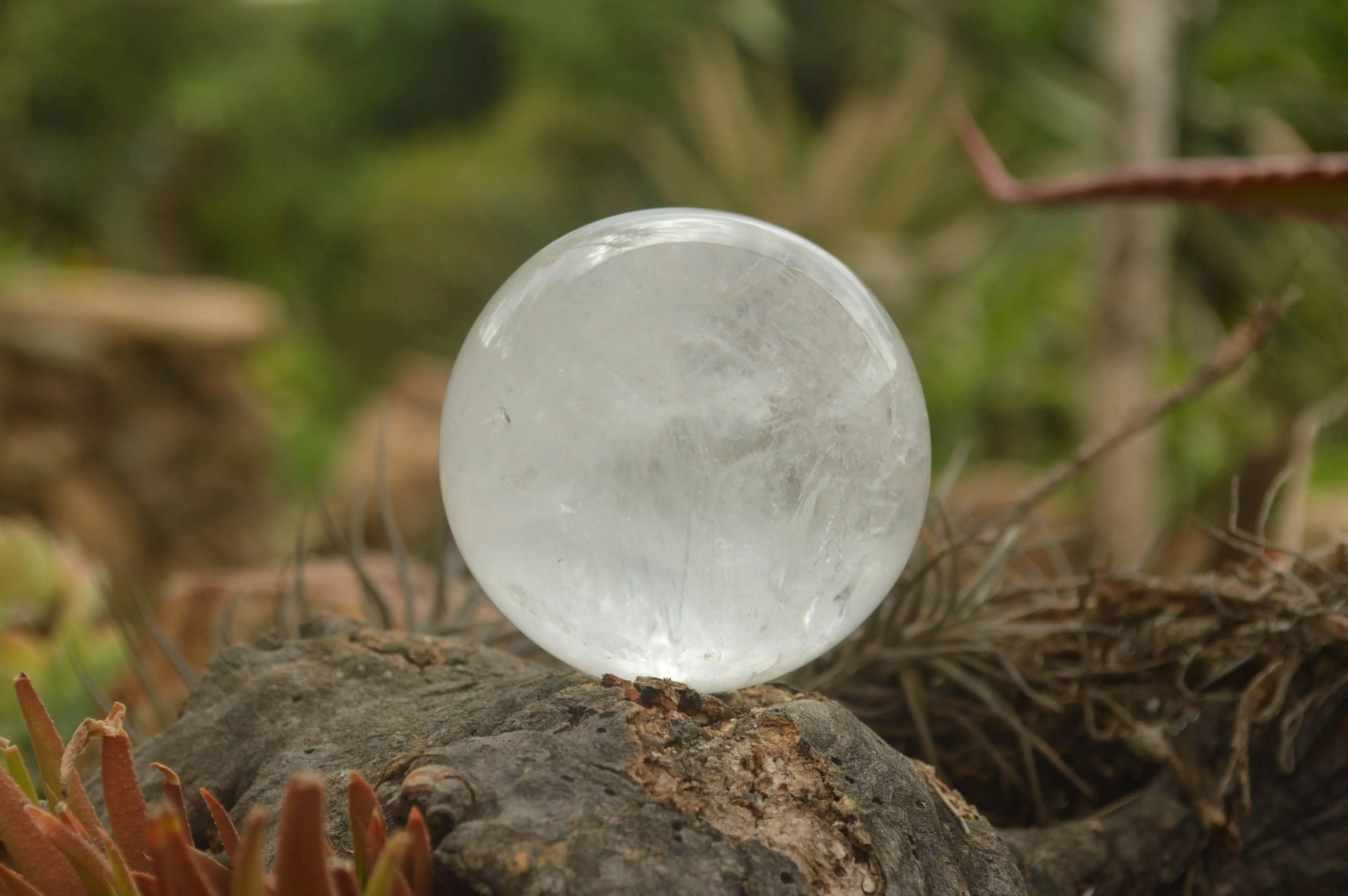 Polished Clear Quartz Crystal Balls / Spheres With Wooden Stands x 2 From Madagascar