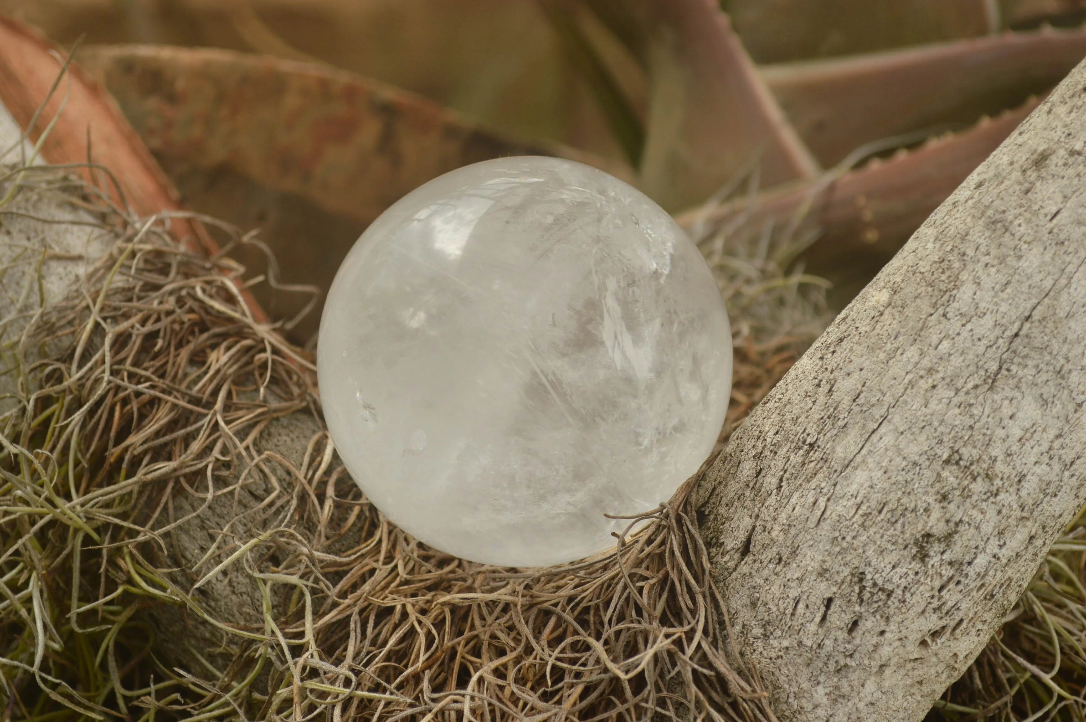 Polished Clear Quartz Crystal Balls / Spheres With Wooden Stands x 2 From Madagascar