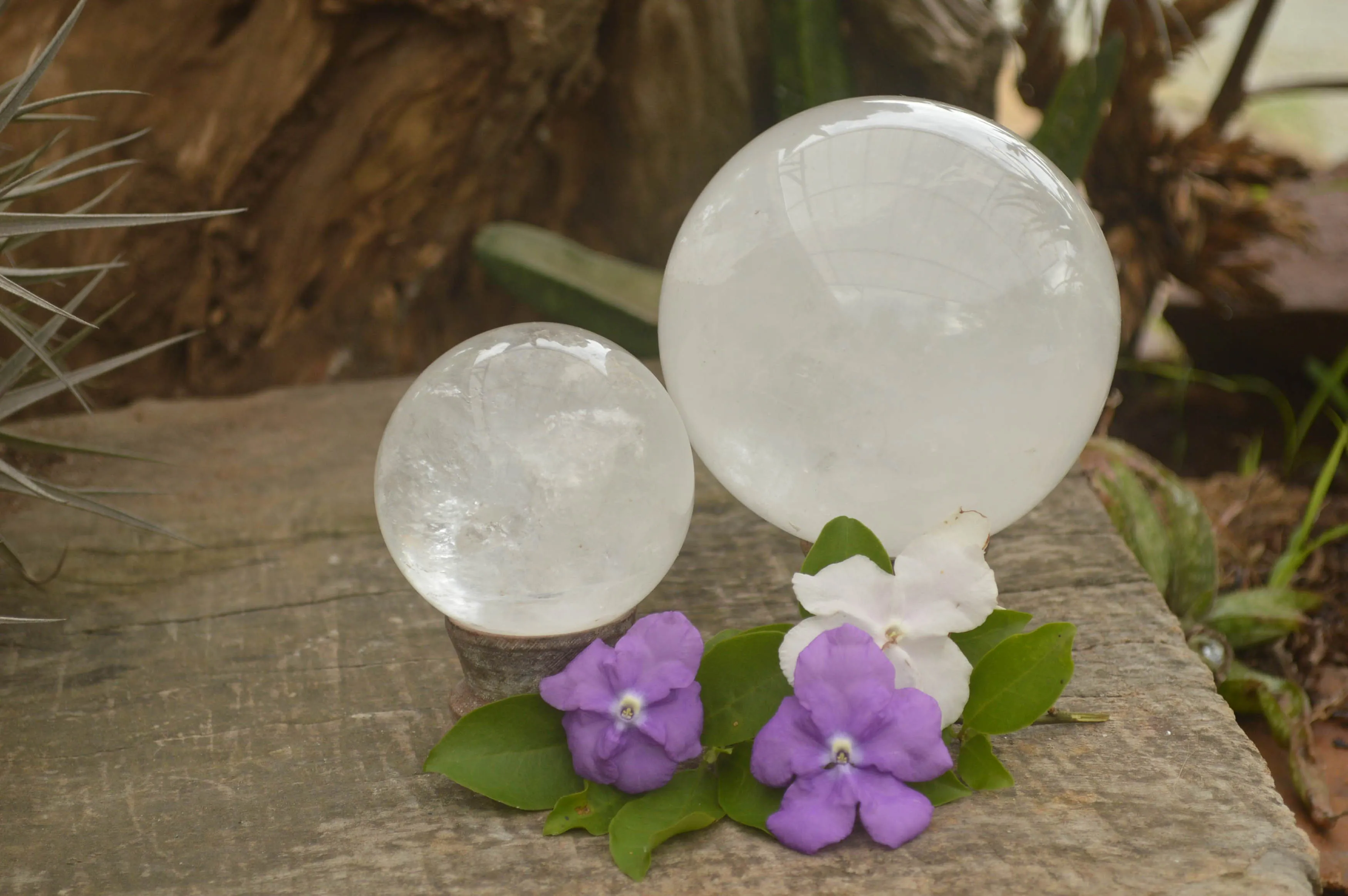 Polished Clear Quartz Crystal Balls / Spheres With Wooden Stands x 2 From Madagascar