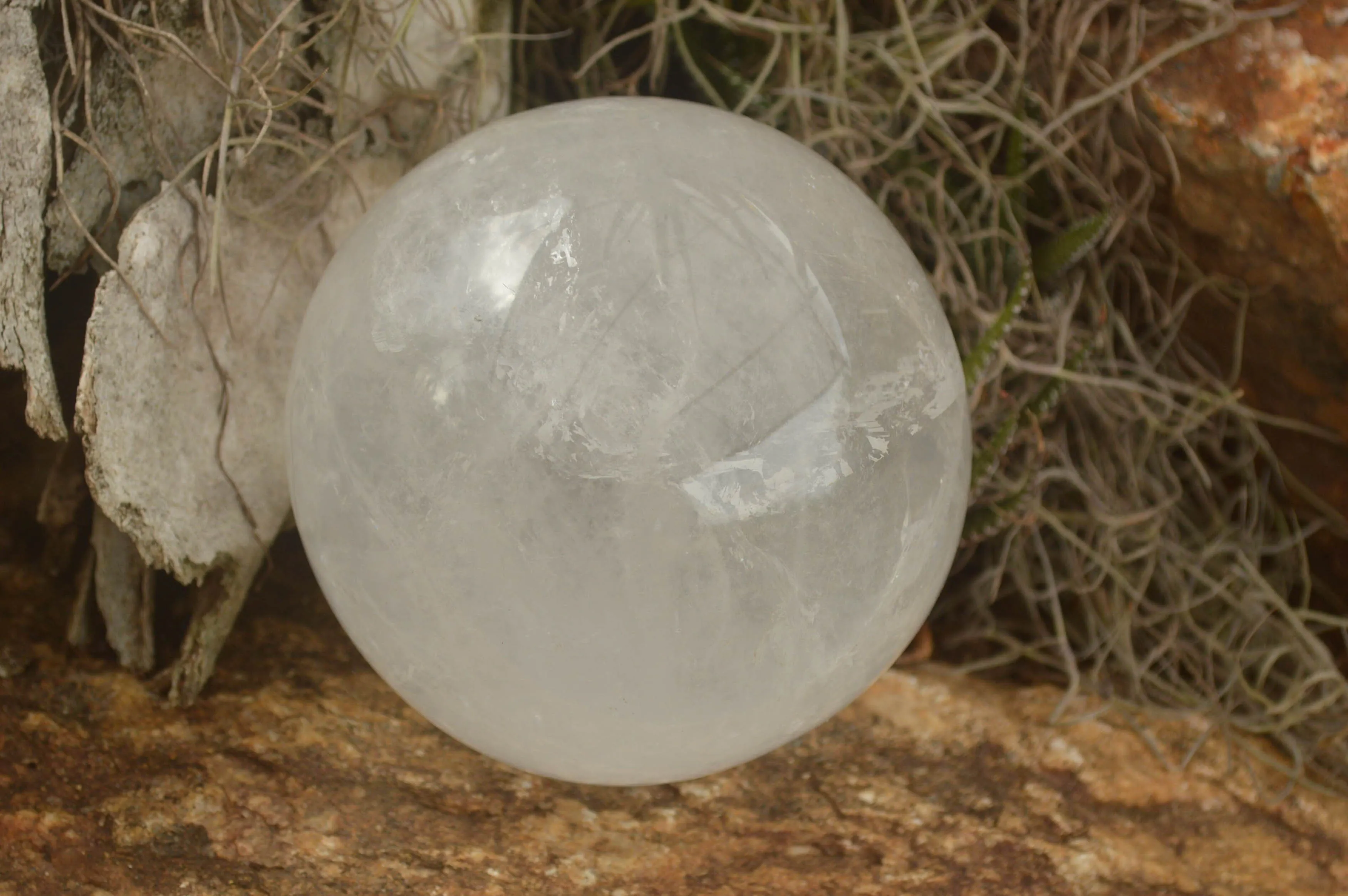 Polished Clear Quartz Crystal Balls / Spheres With Wooden Stands x 2 From Madagascar