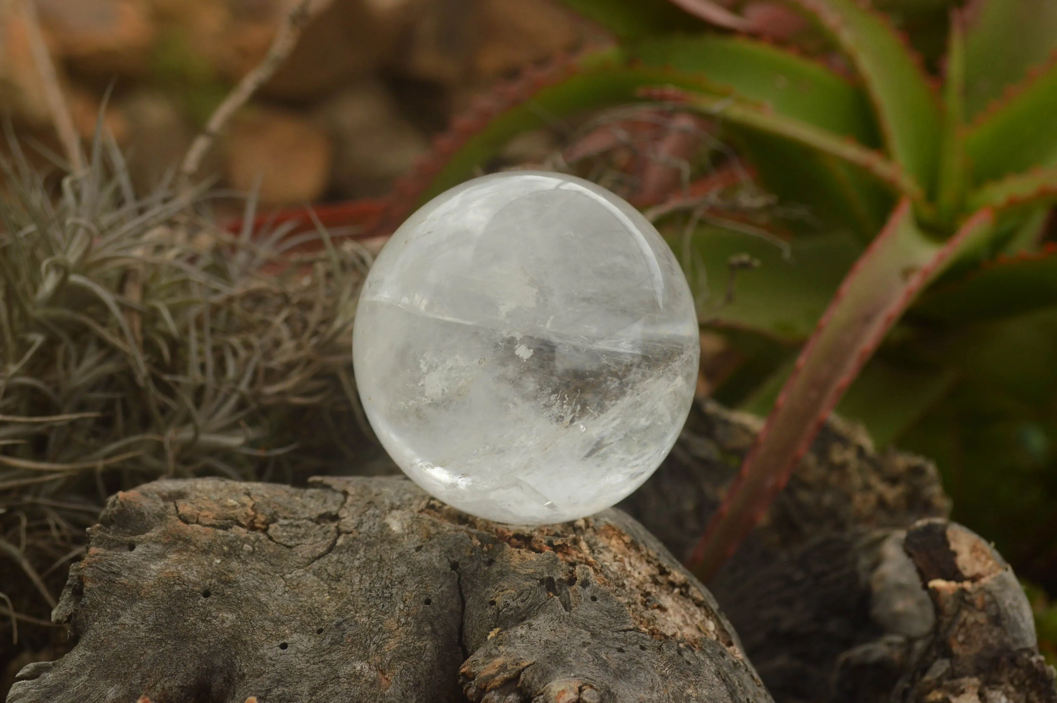 Polished Clear Quartz Crystal Balls / Spheres With Wooden Stands x 2 From Madagascar