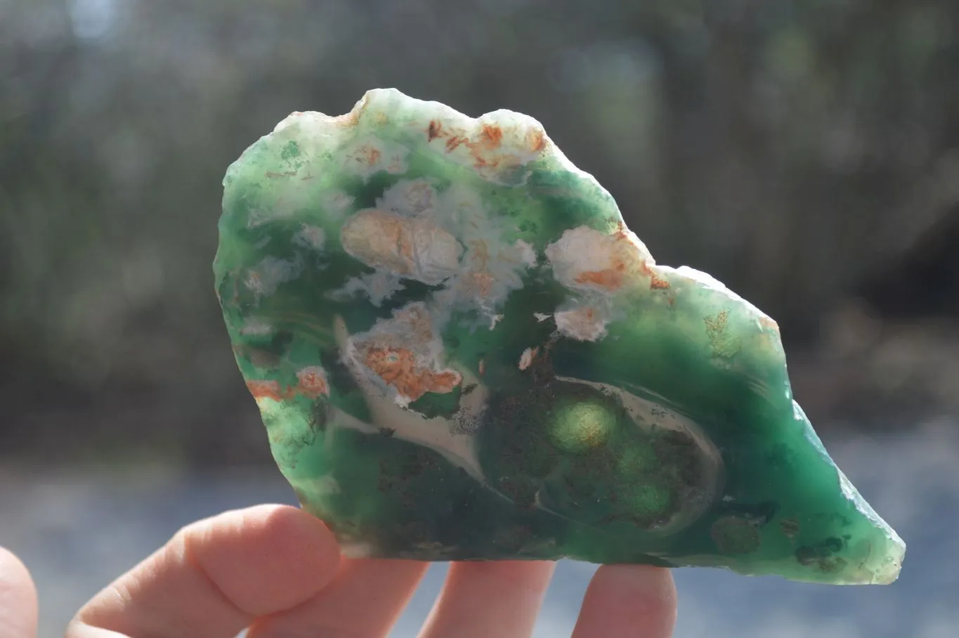 Polished On One Side Emerald Mtorolite x 15 From Mutorashanga, Zimbabwe