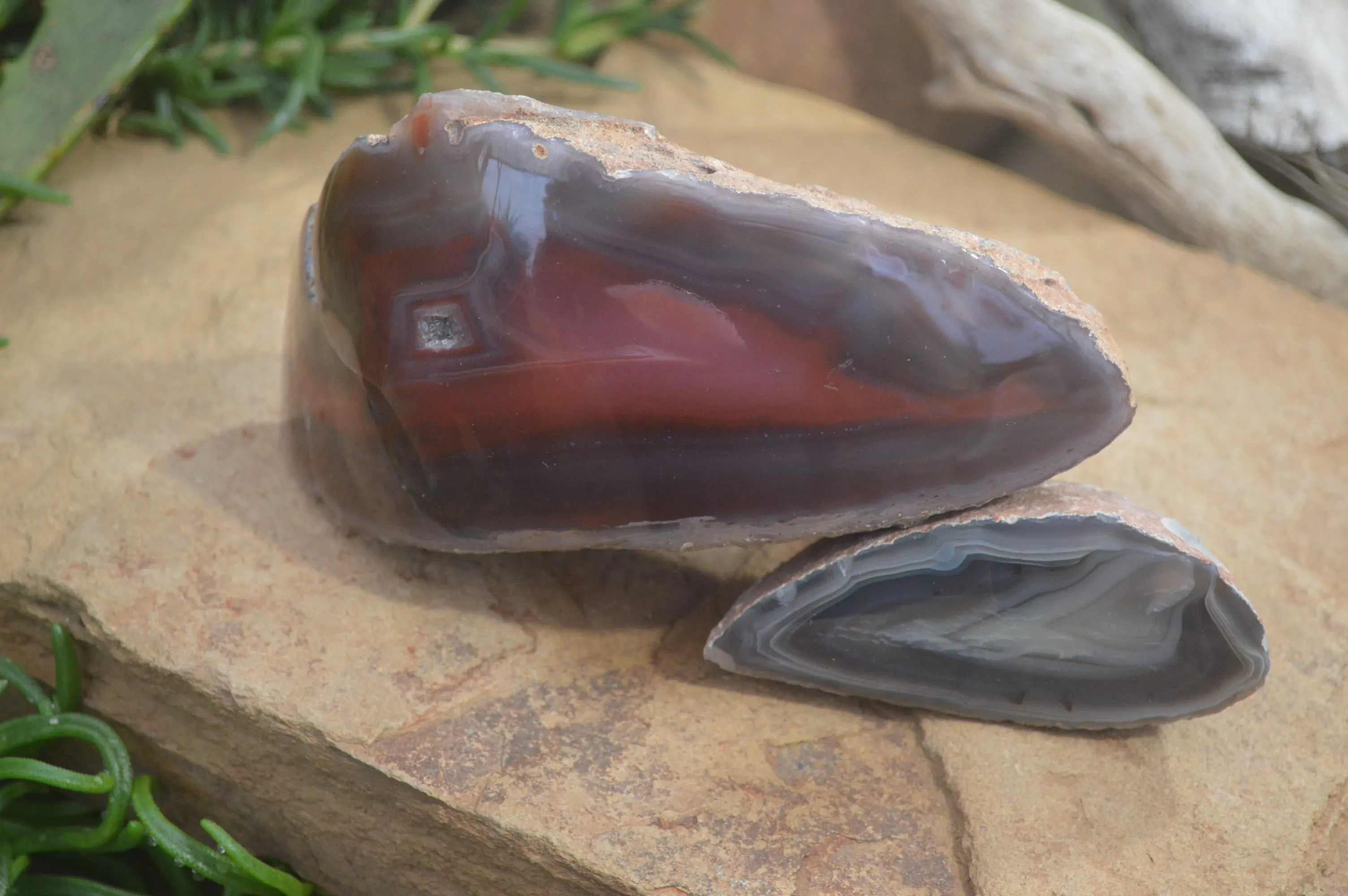 Polished Red Sashe River Agate Nodules x 2 From Sashe River, Zimbabwe