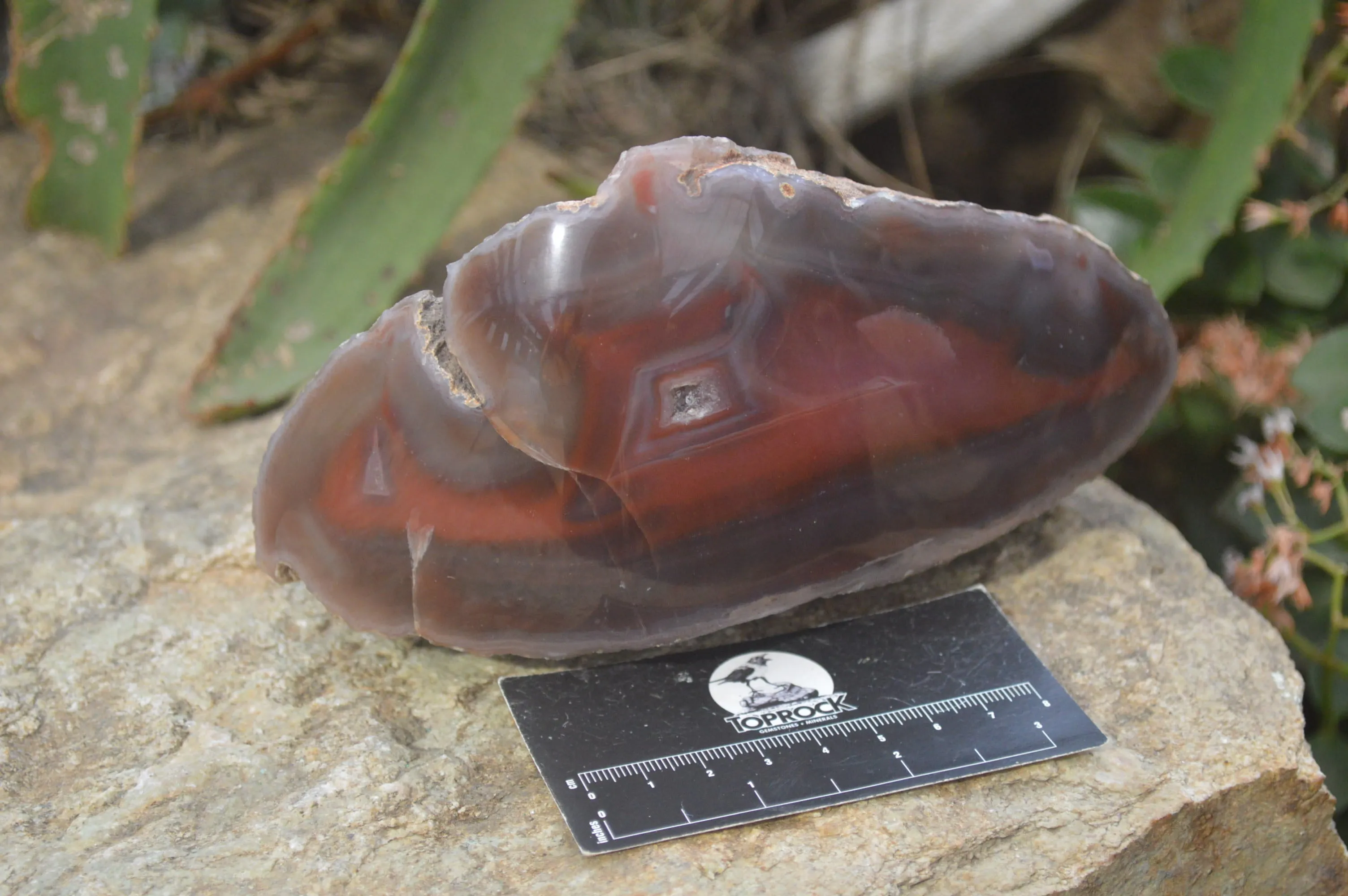 Polished Red Sashe River Agate Nodules x 2 From Sashe River, Zimbabwe