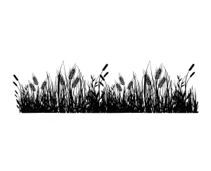 Sticker Hub Wall Sticker for Living Room -Bedroom - Office - Home Decor | Wheat Grass Wall Stickers (29Cm X 117Cm) BS829