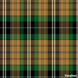 Vaughan (Welsh Rare)